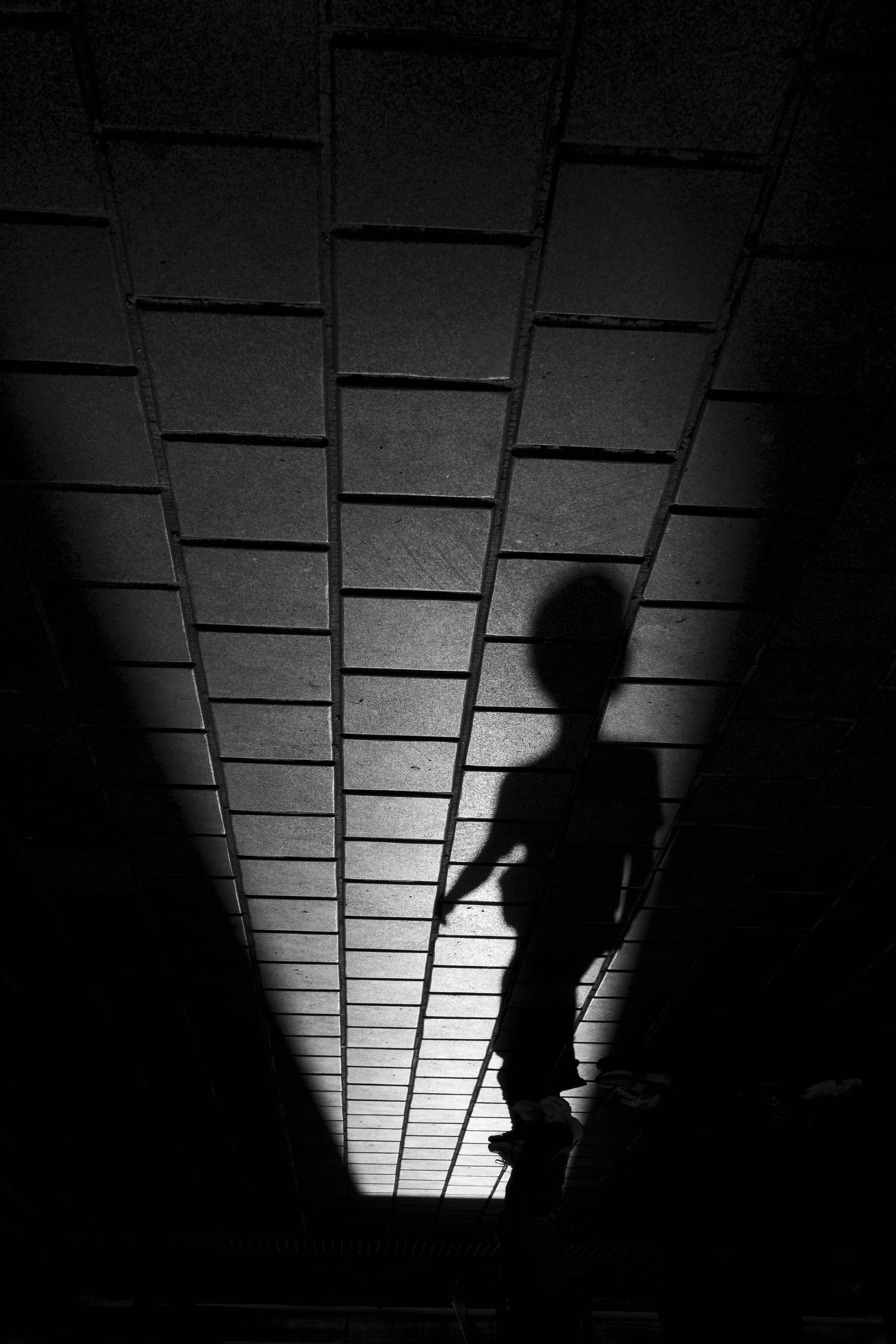 Ephemeral Existence: Into the Light