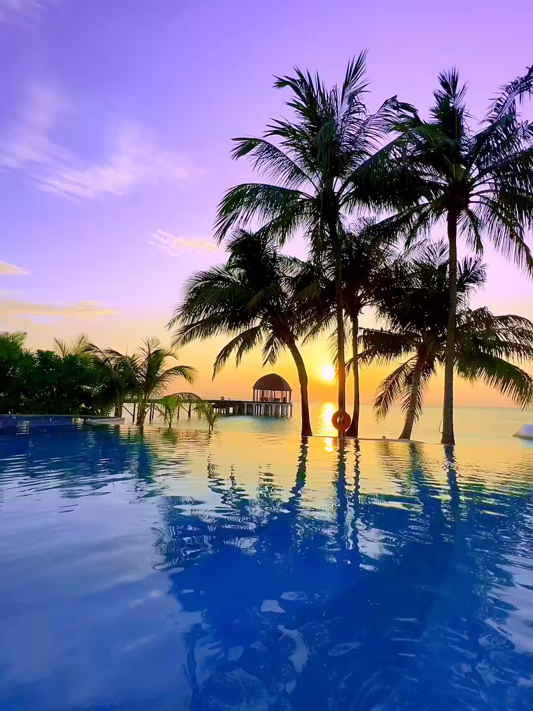 Sunset Delight