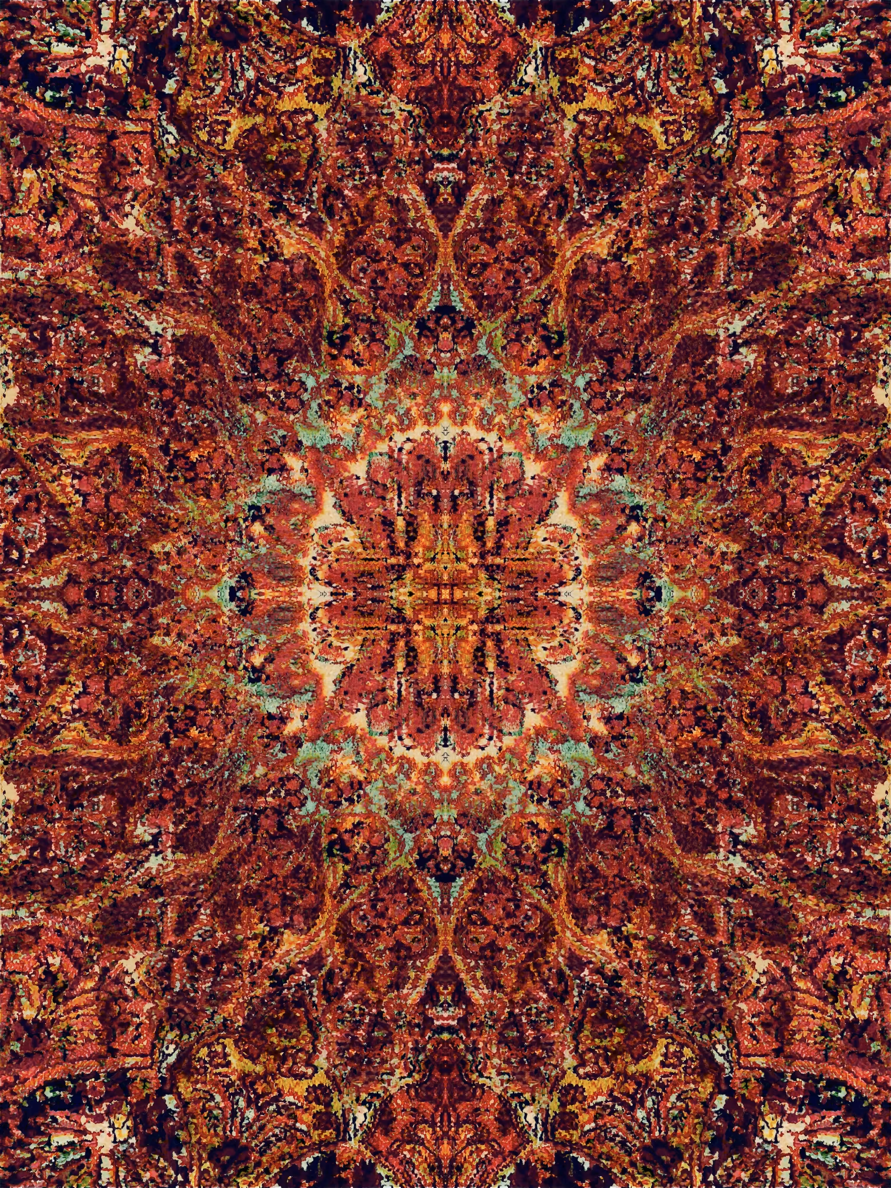 Roots of the Carpet