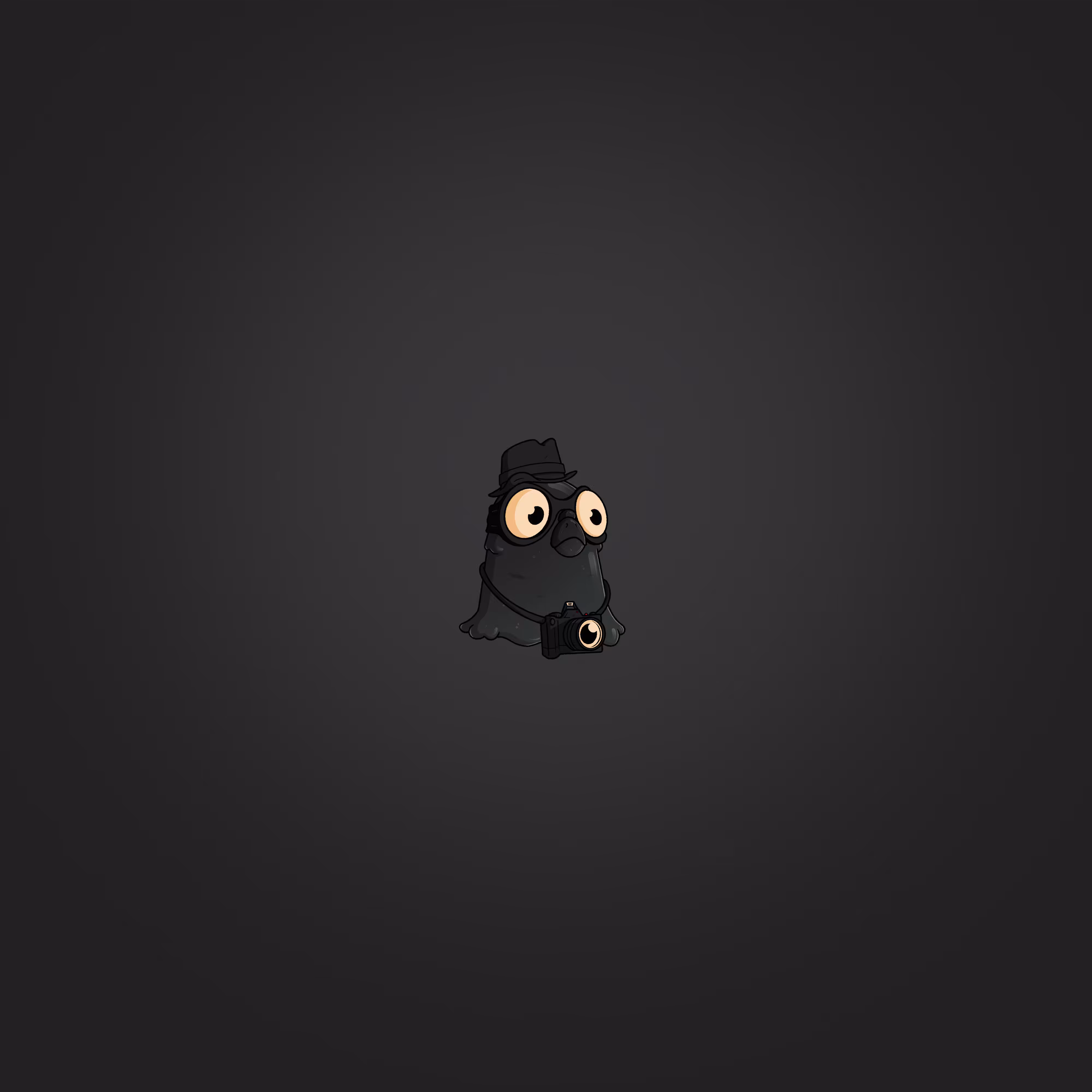 Squabble Heads: Black Pidgies