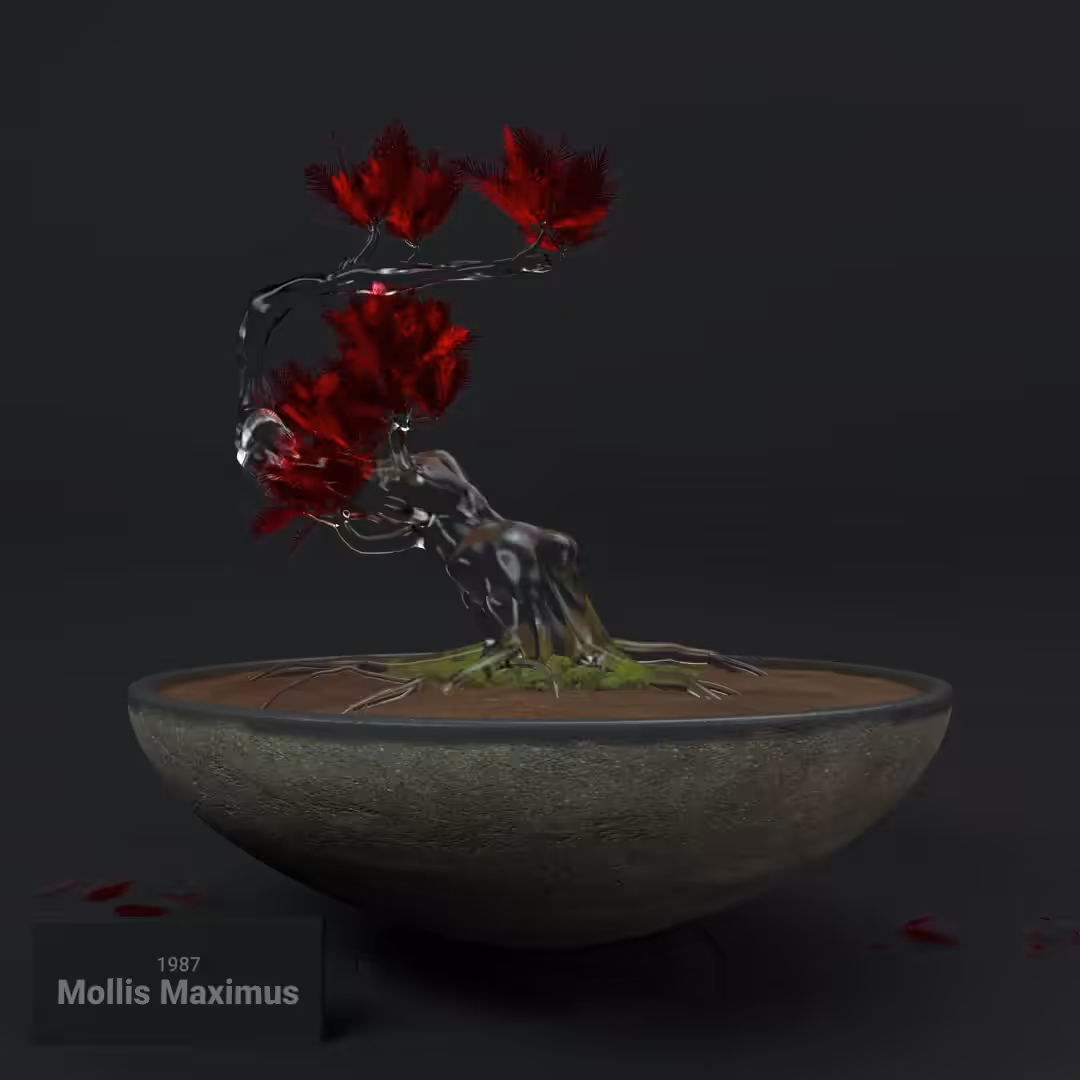 Mollis Maximus 1987 - Glass Bonsai