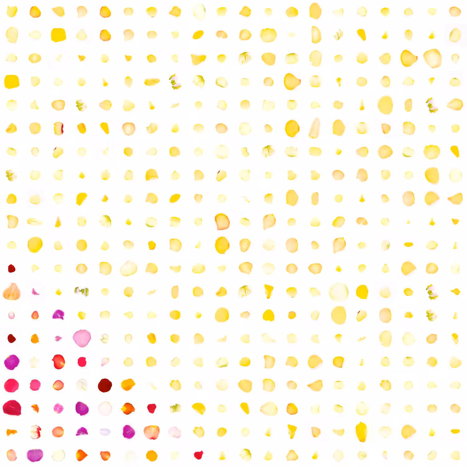 Infinite Petals 20x20#1242