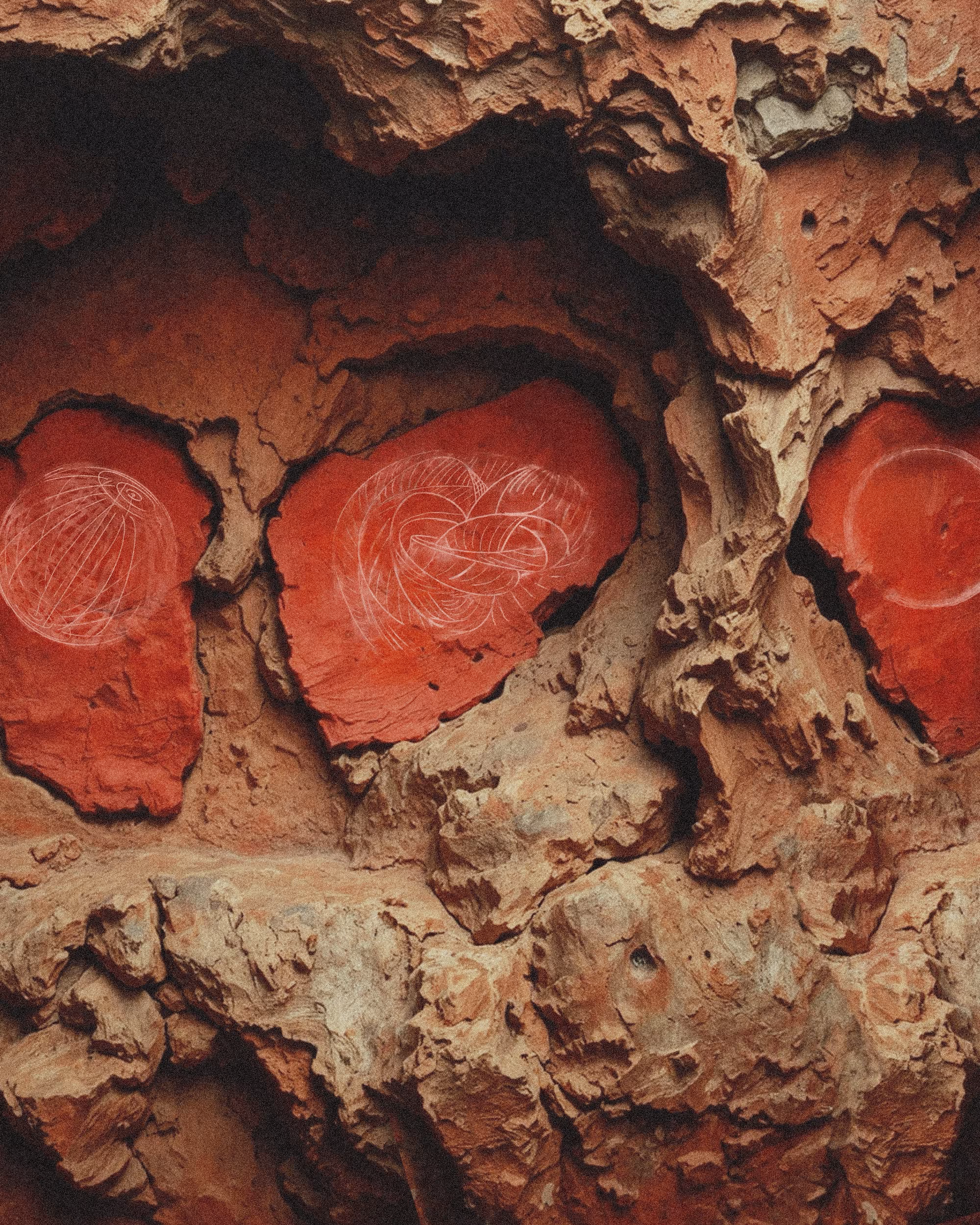 Primordial dream of an observer:  