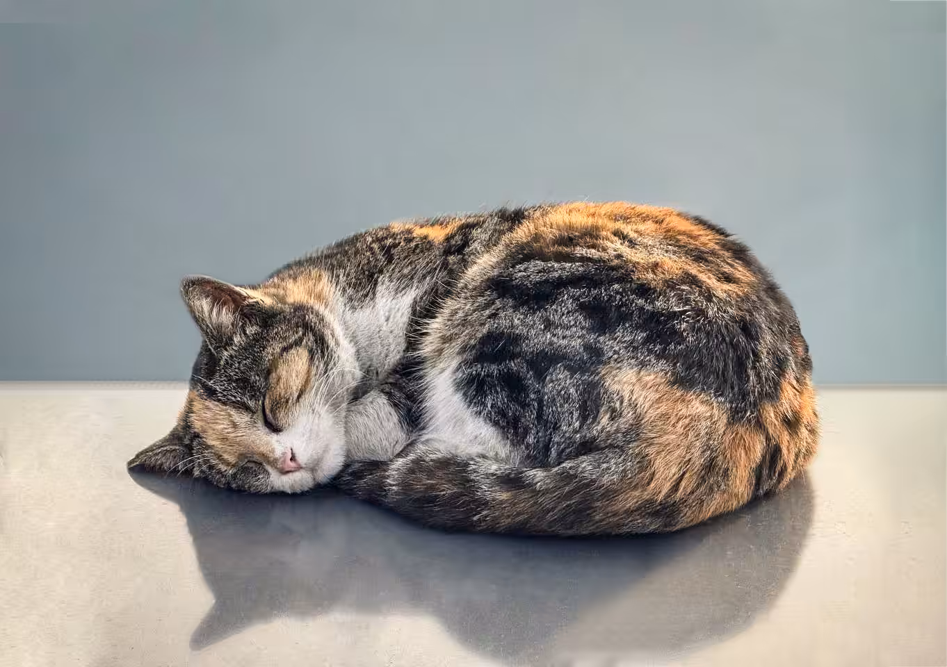 Kittyboo