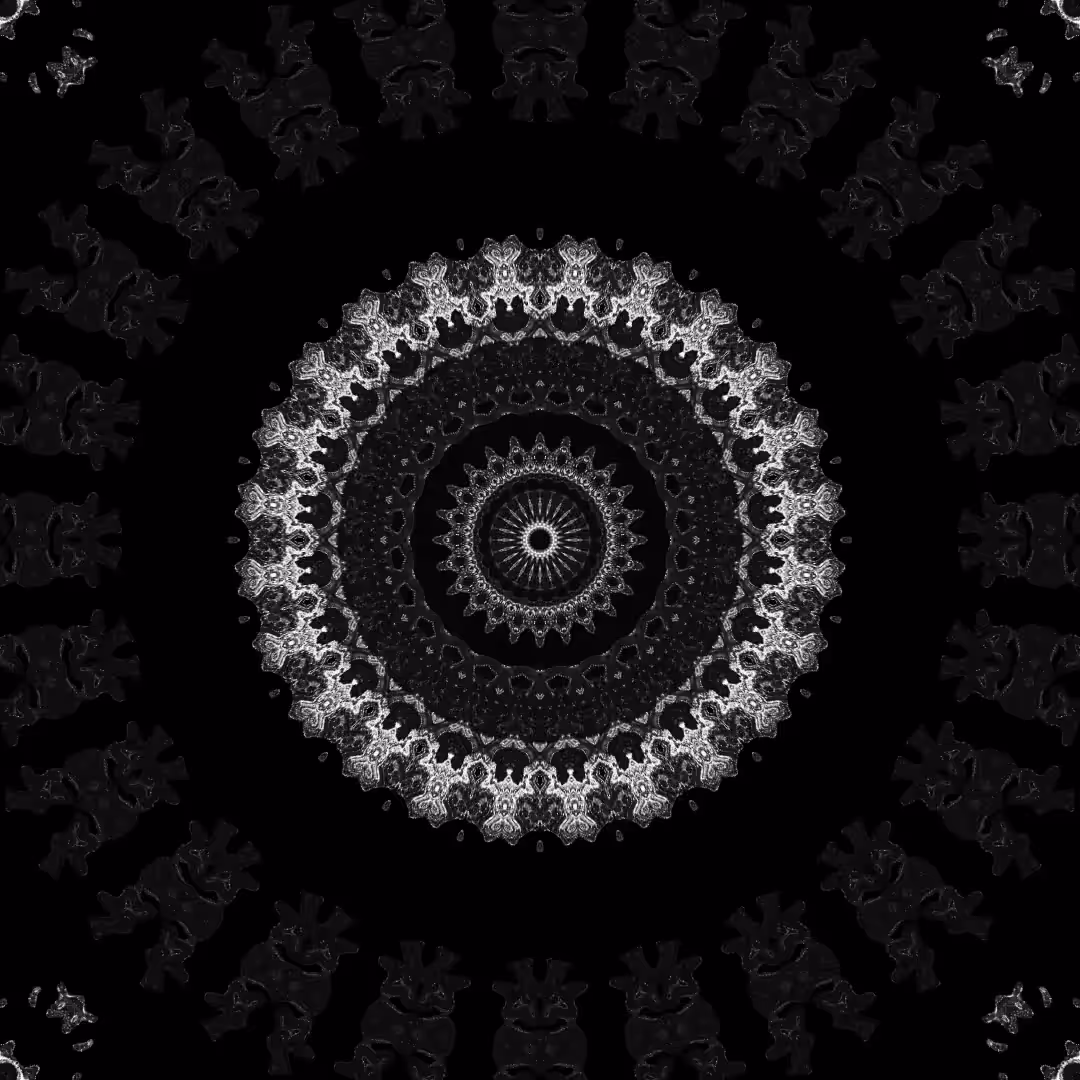 orbital warp 10