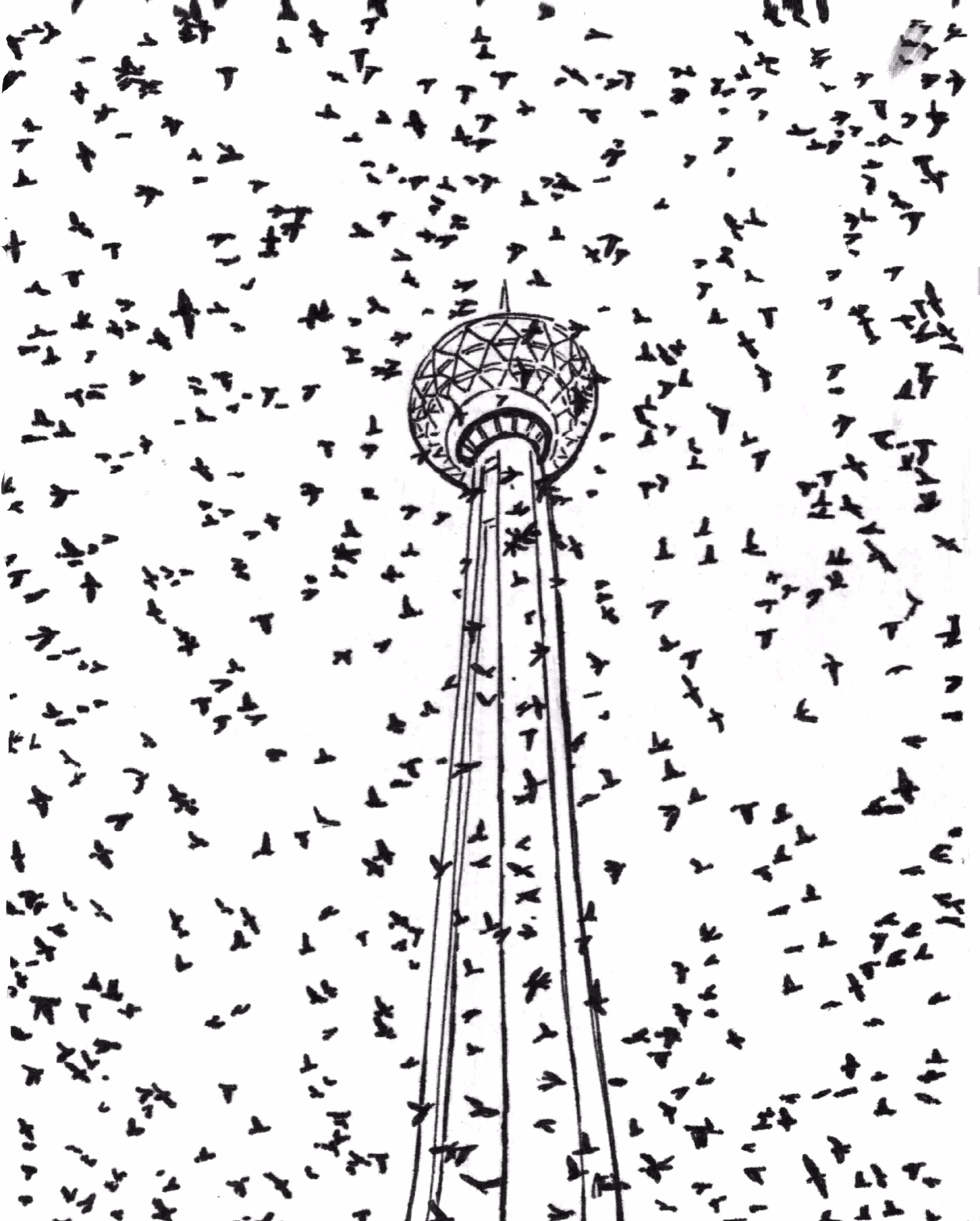 Crow Flock