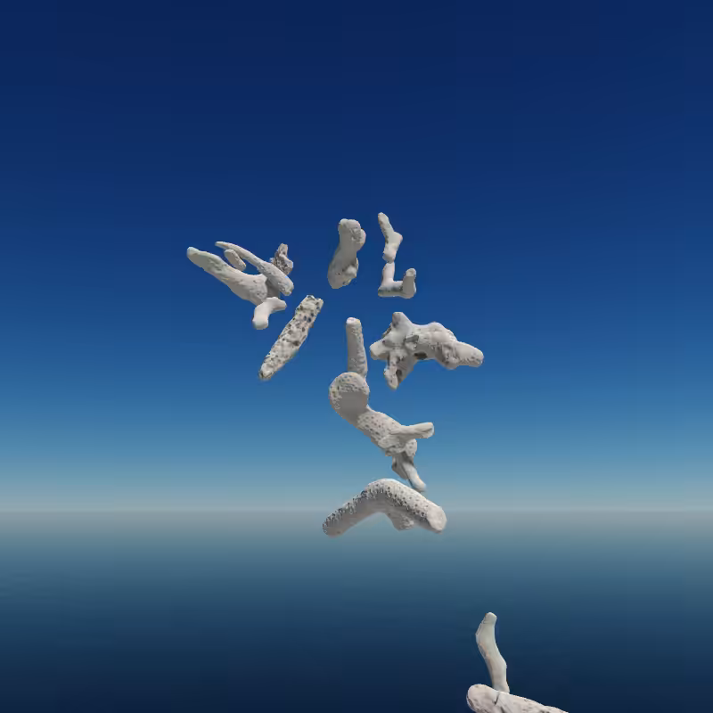 Bone Work (Gulf of Mexico) 2022 #61