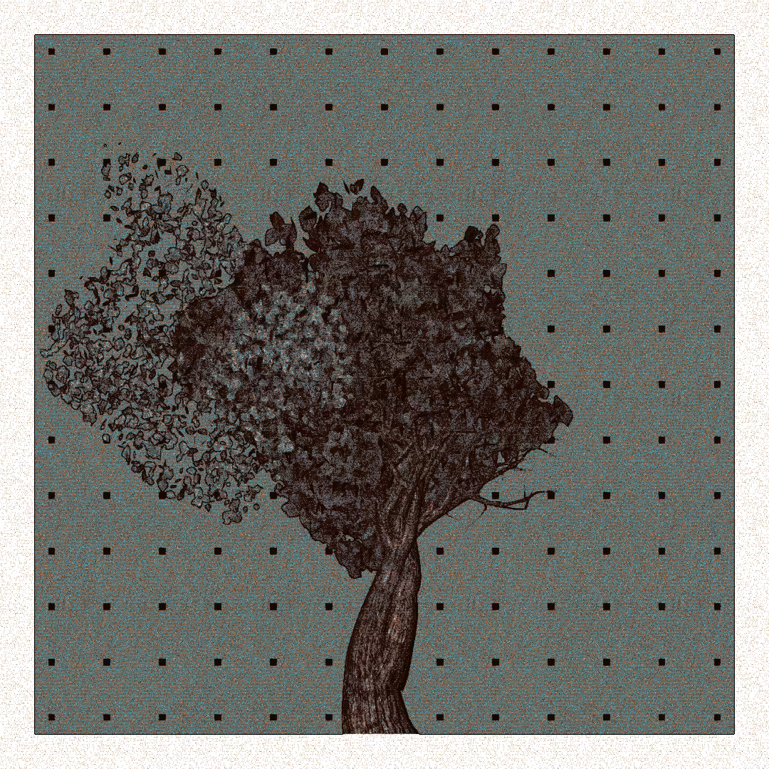 _argania[primaria] #305