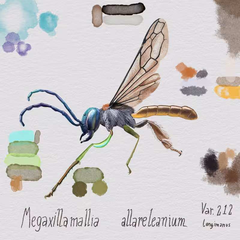 Randomic Brazilian Insects 1 #3