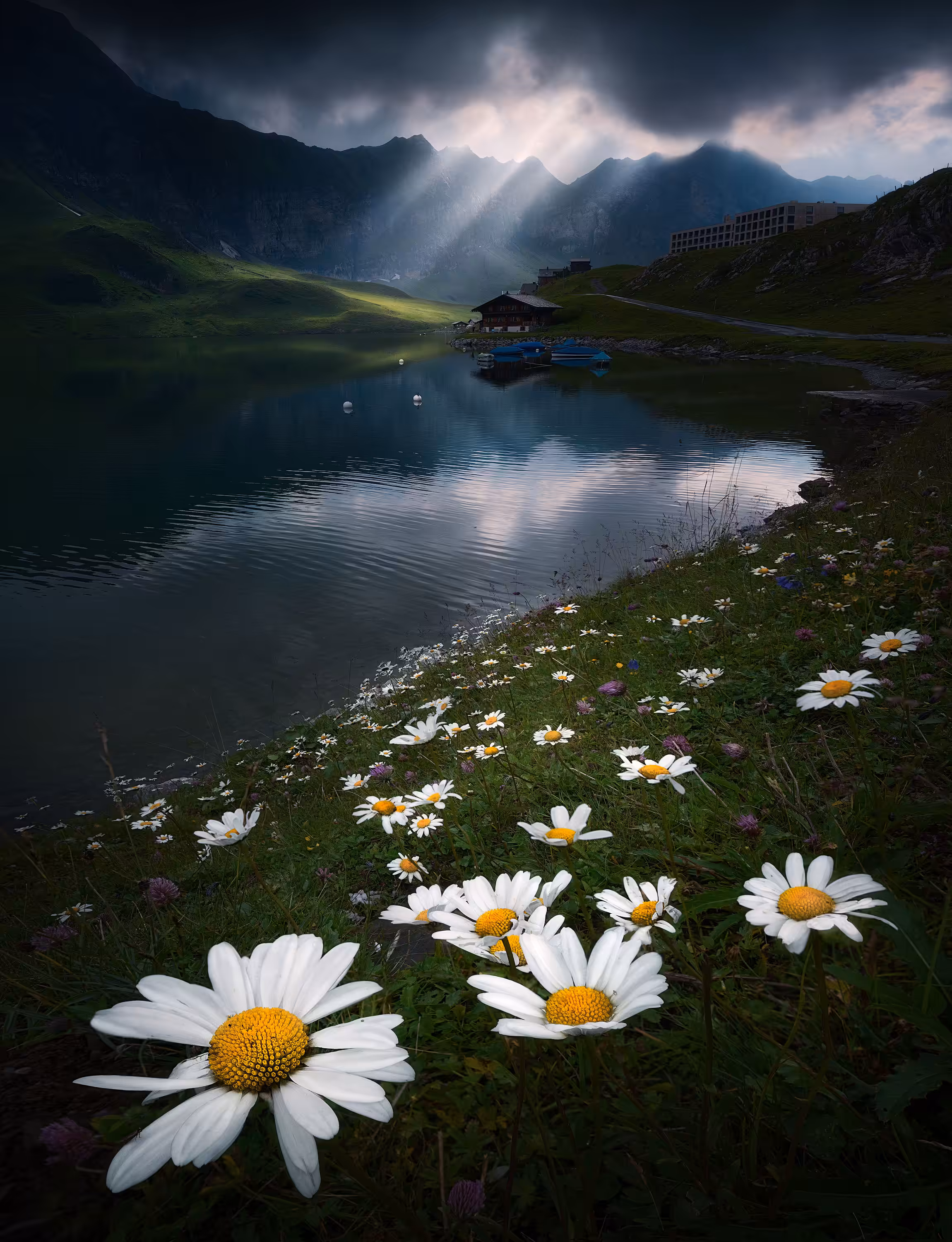 Contemplating the light