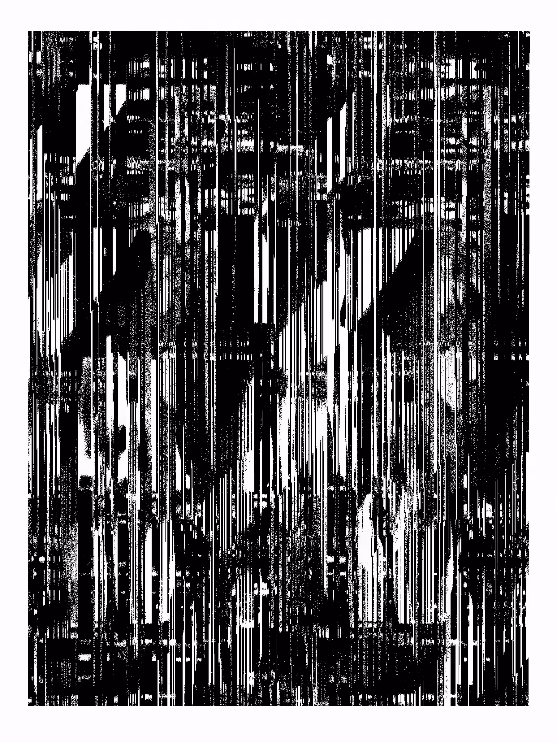 Echo, No Resonance #194