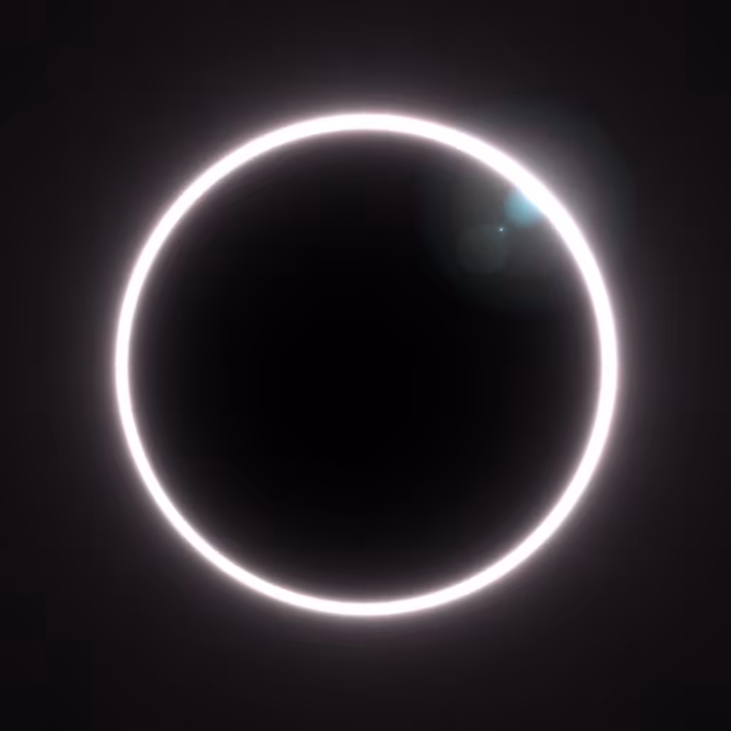Totality #229