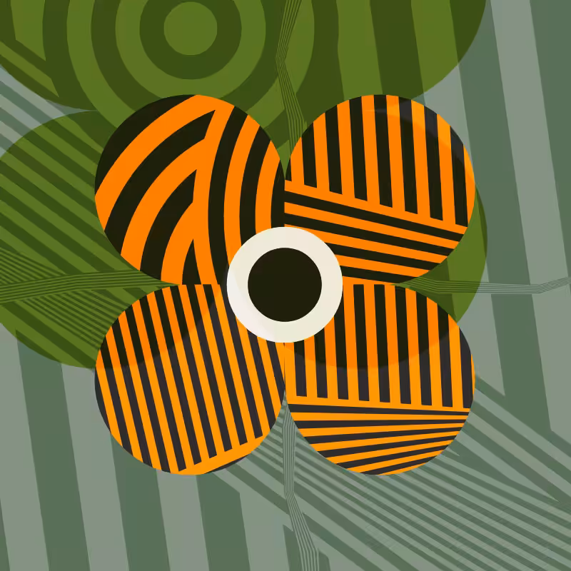 Dazzle Bloom: Big Orange
