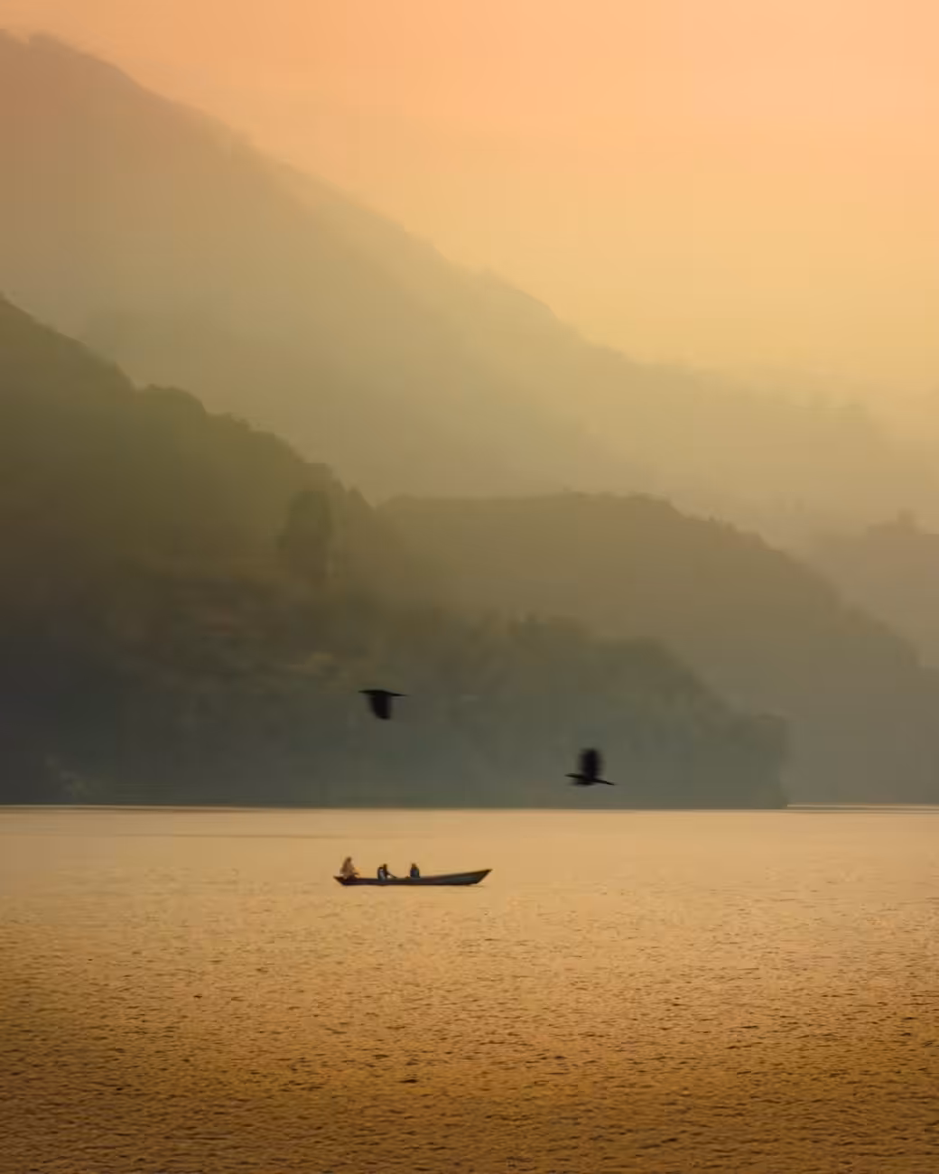 AP CURATED: Harmony