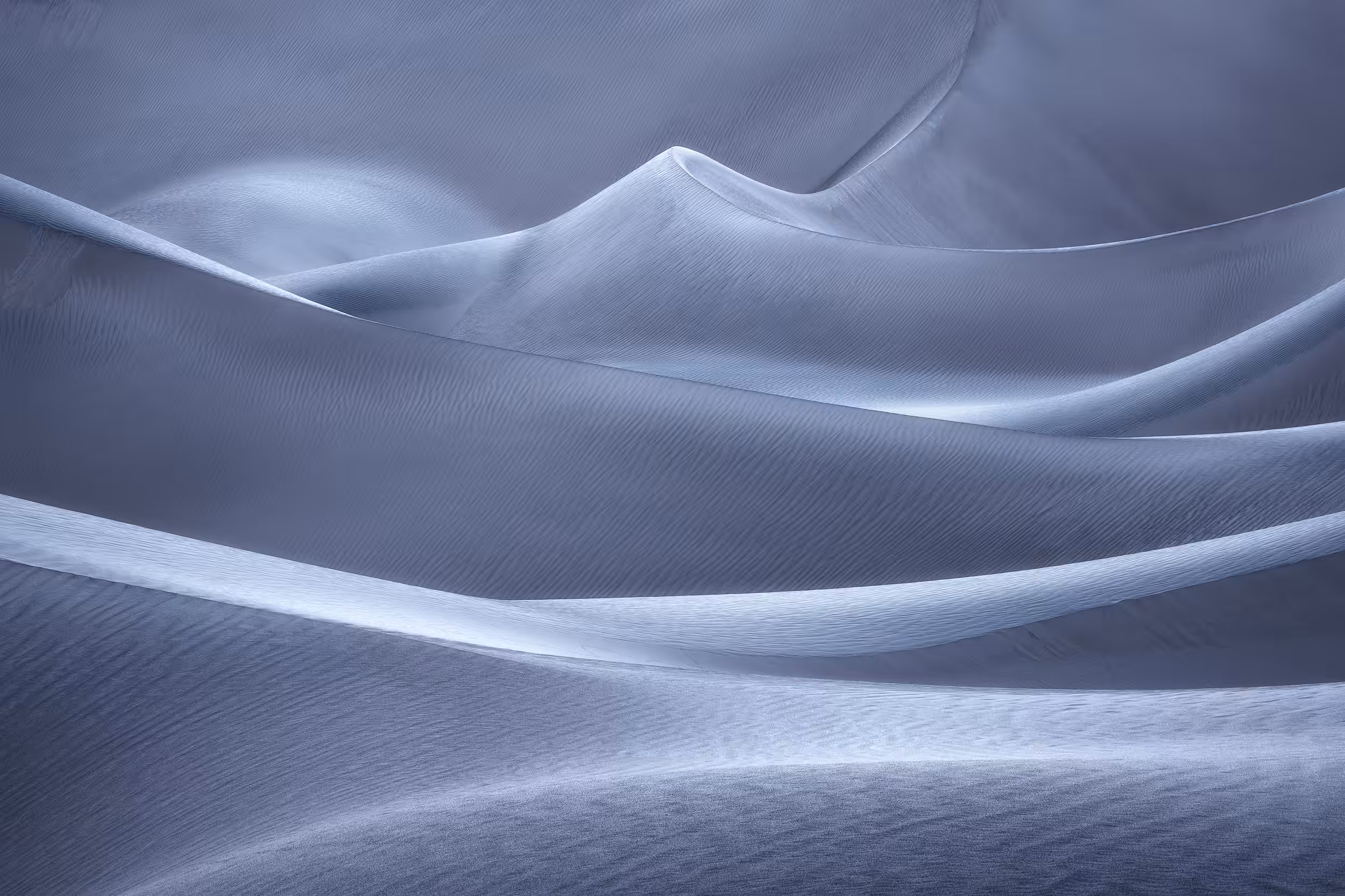 Mojave Winds #18 - Silver Surf