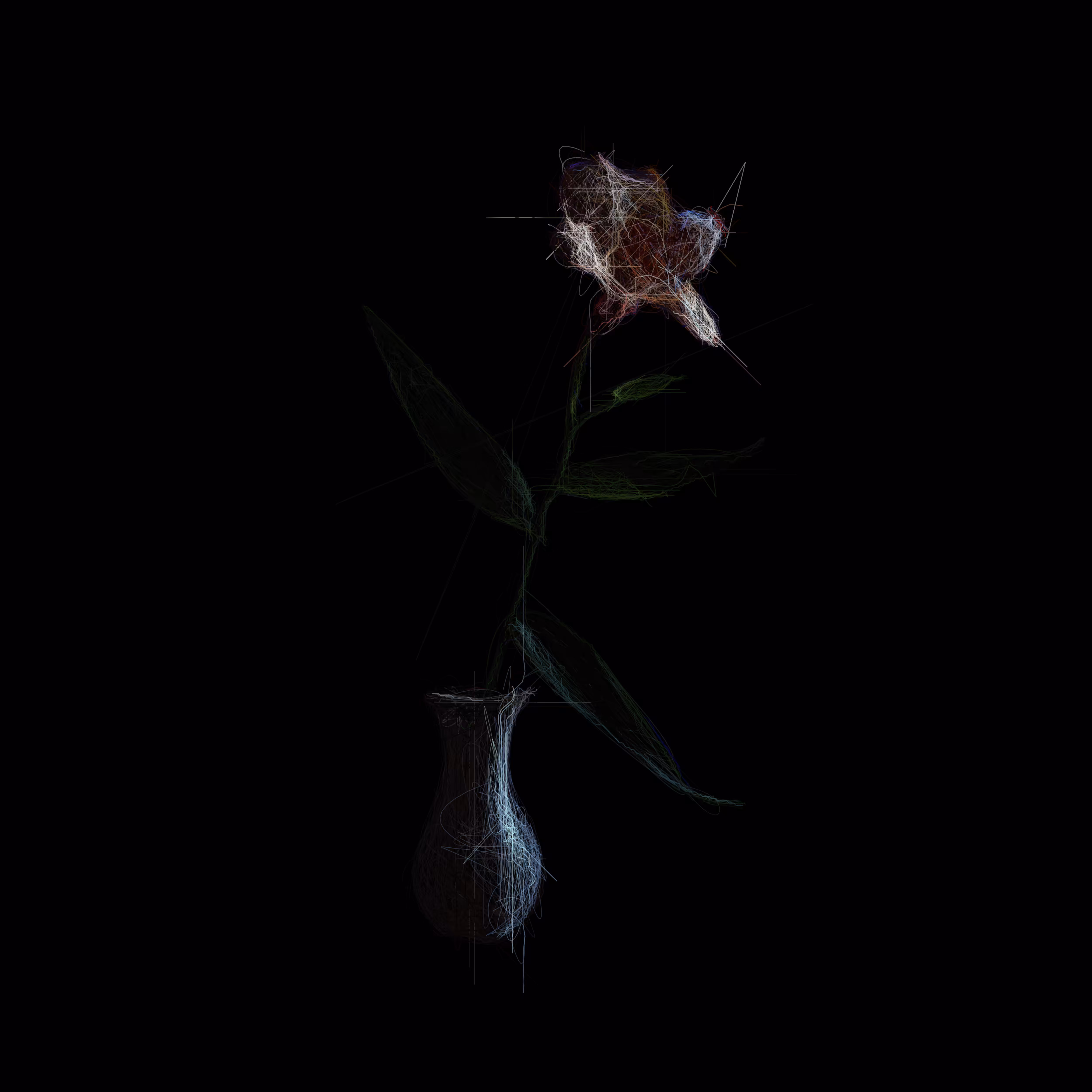 Lily of the Incas I
