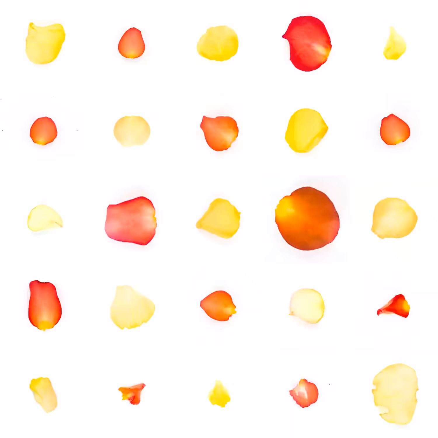 Infinite Petals 5x5#21527