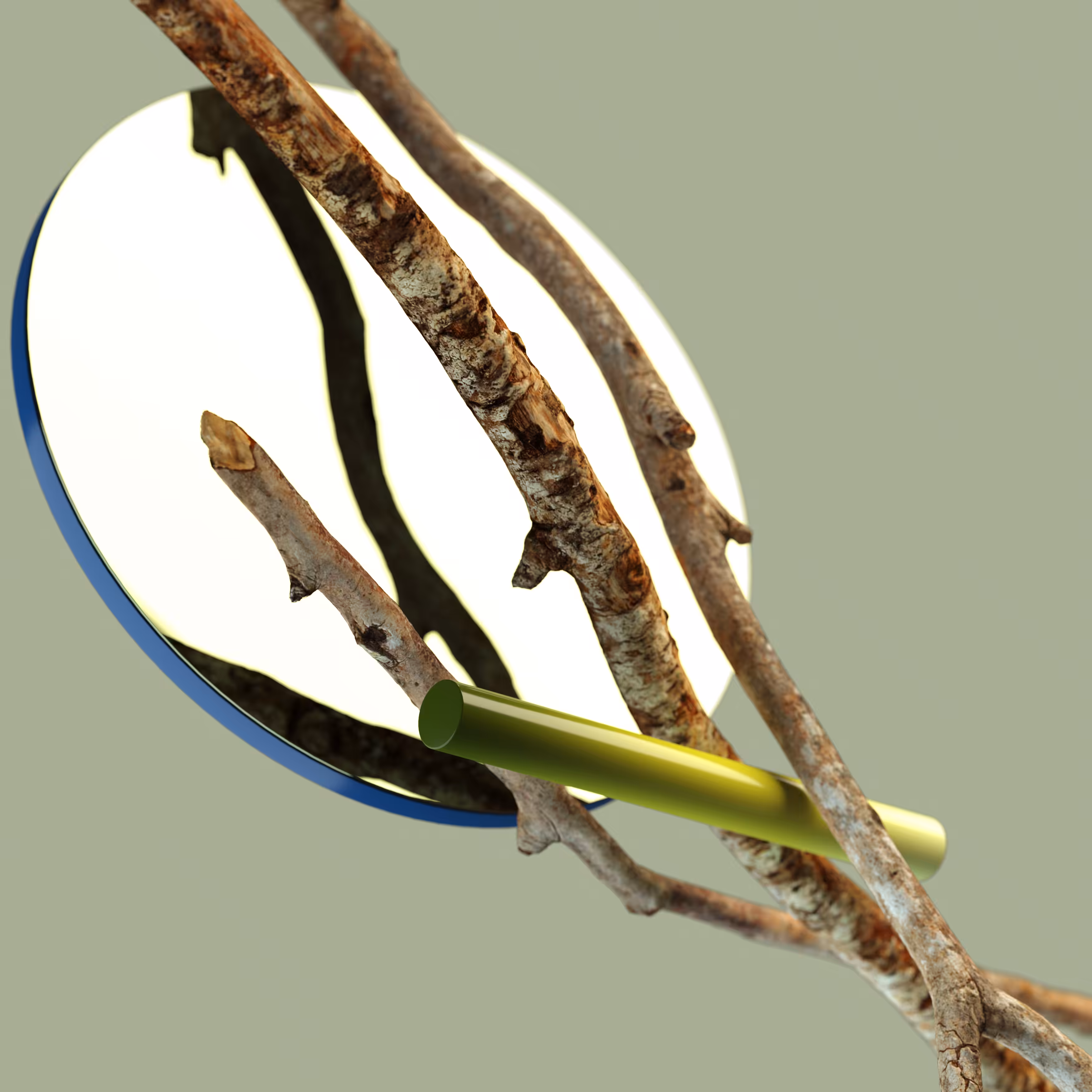 .Branch