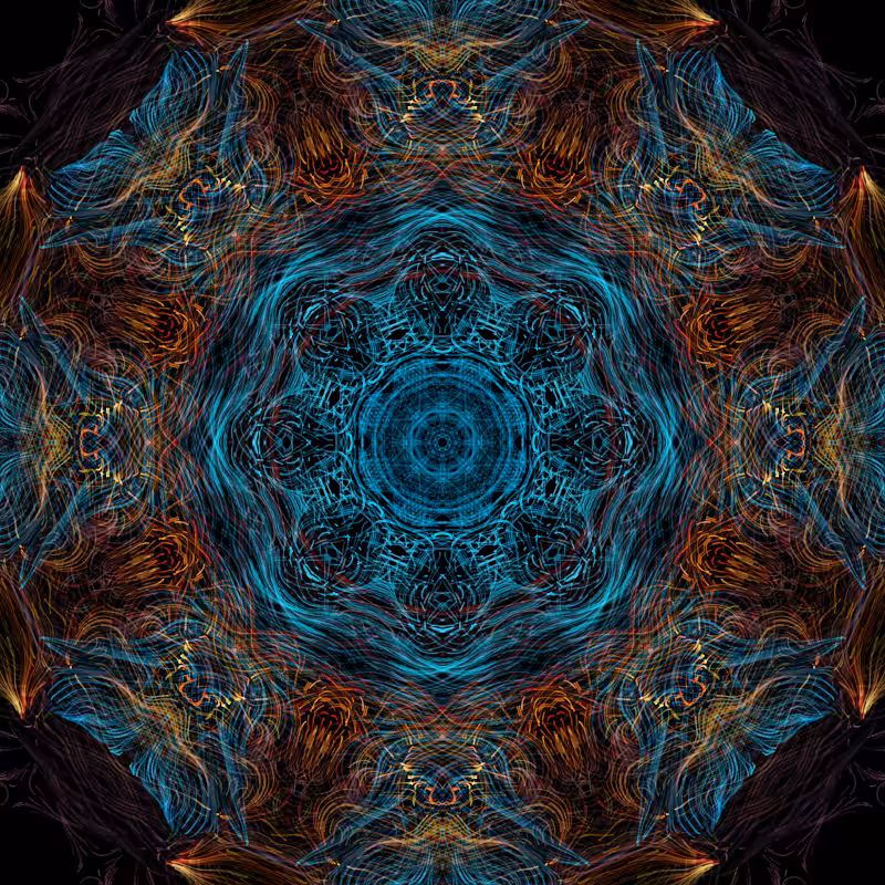 nighttime in the garden #67