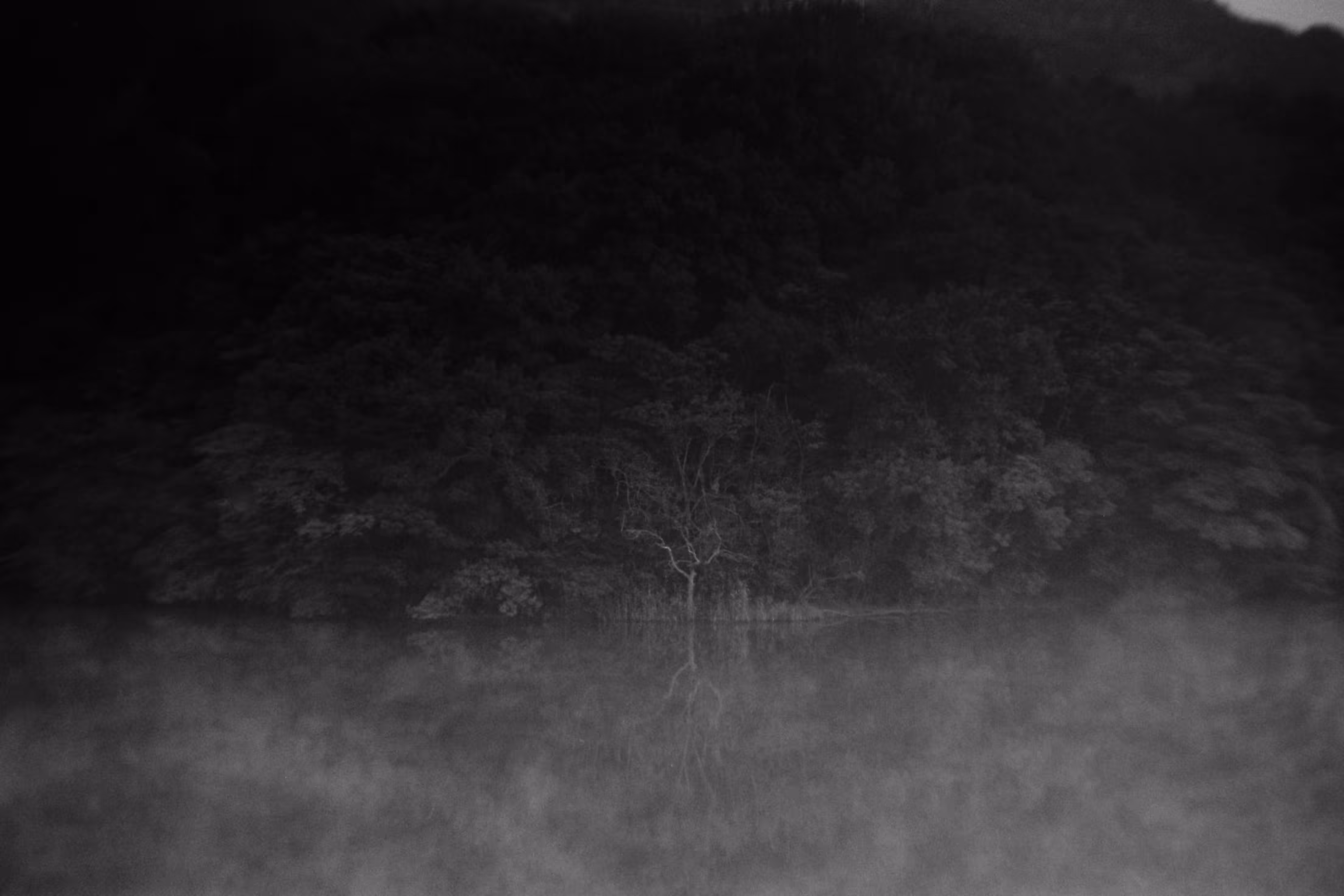 Heaven Series: The World of Film - Beautiful World