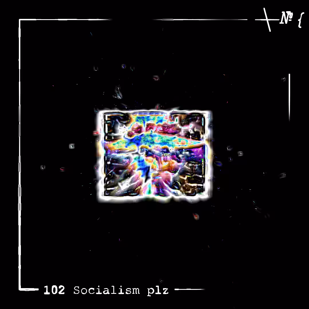 102 Socialism plz