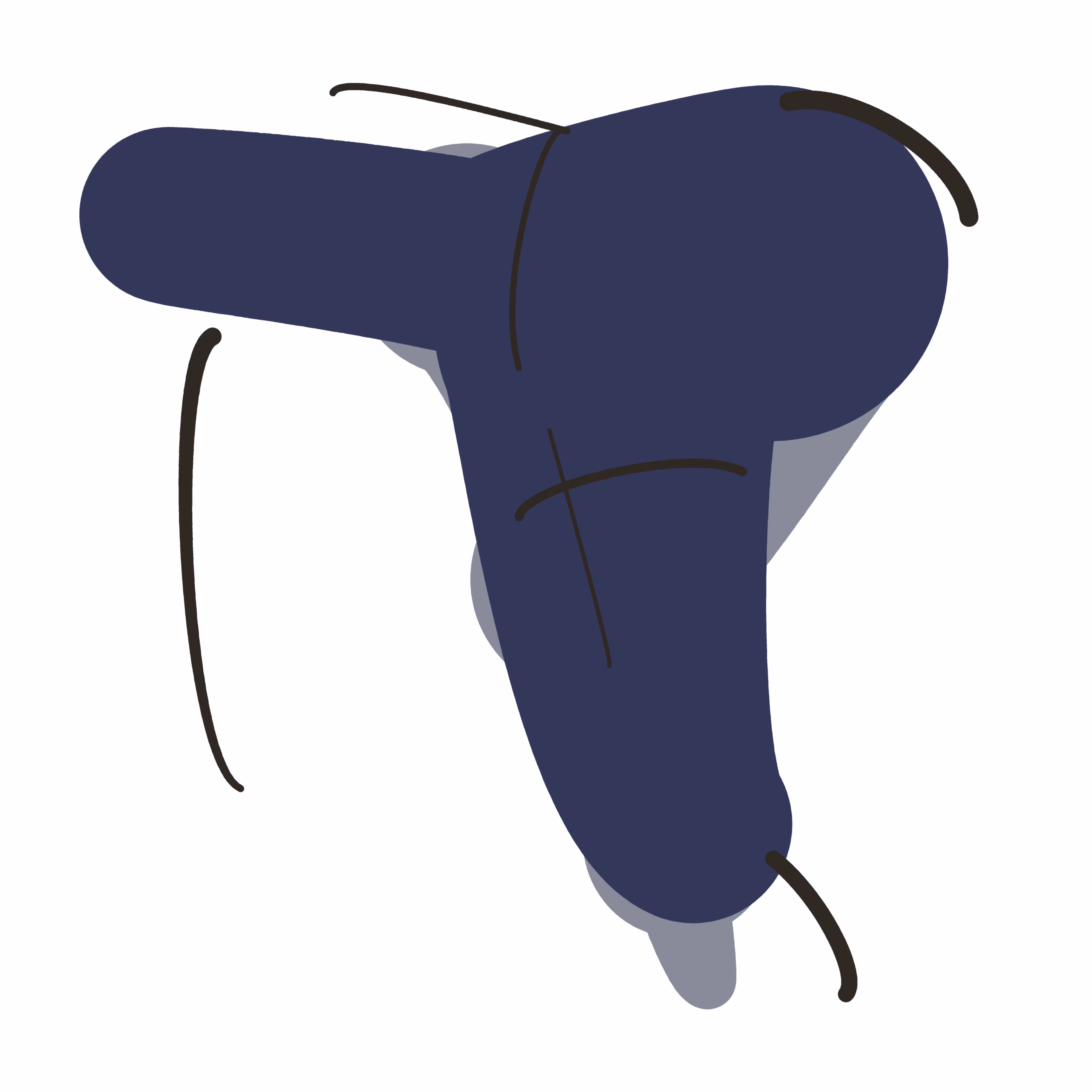 Blow Dryer