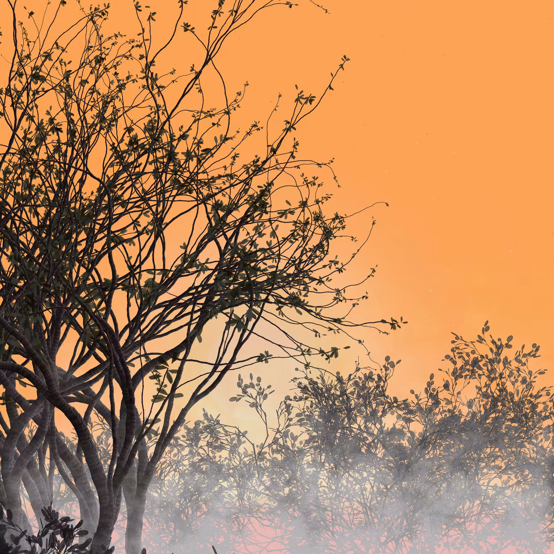 Morning Mist #283