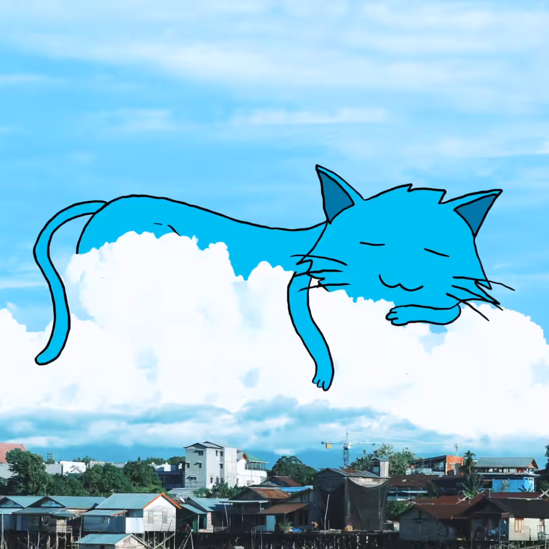 CATNAP