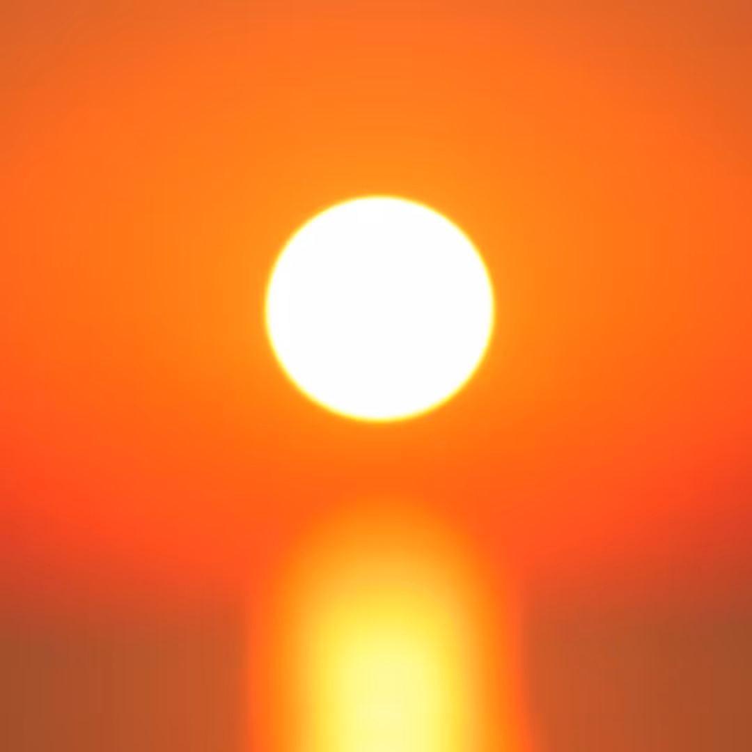 Solvent Suns V
