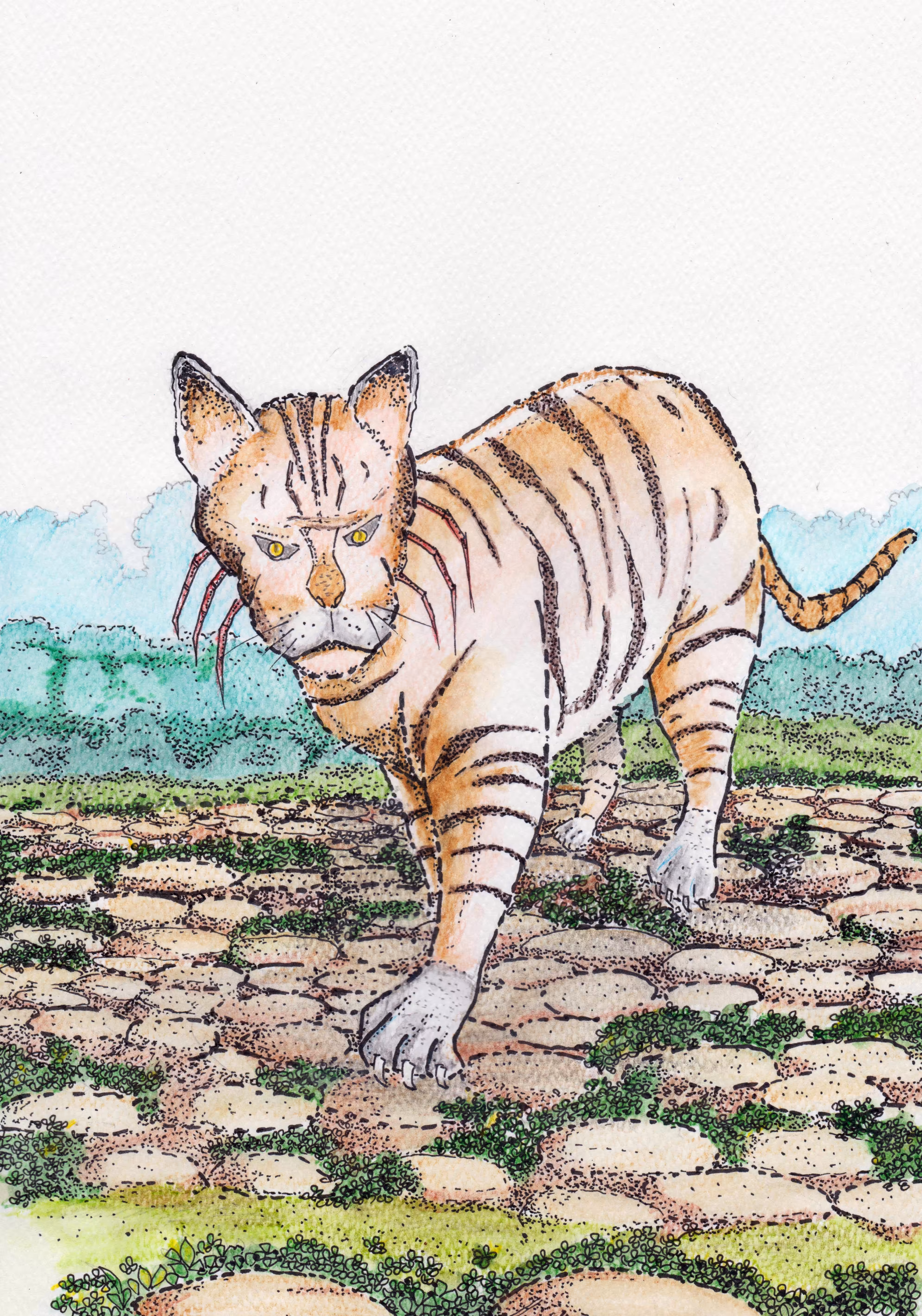 King of the jungle
