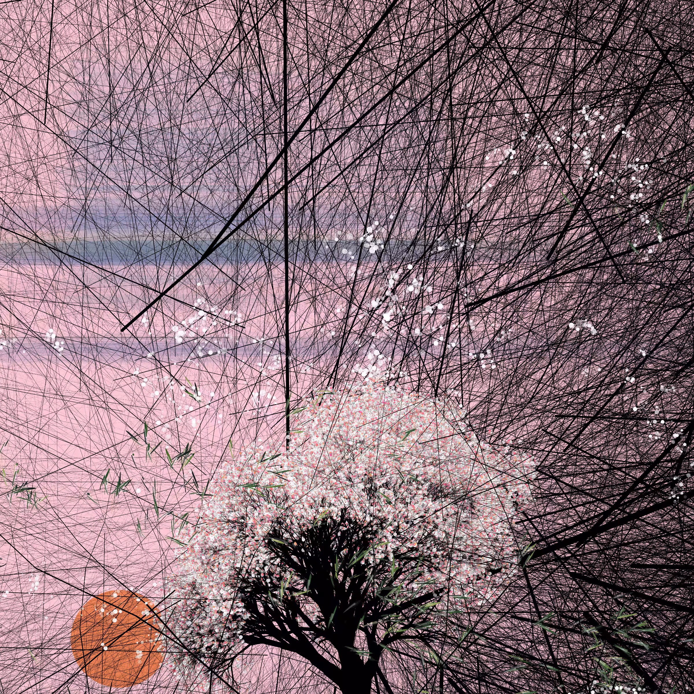 conversation with the wind #962