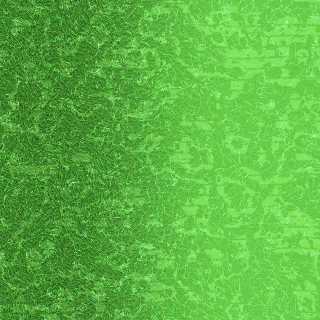 Dew
