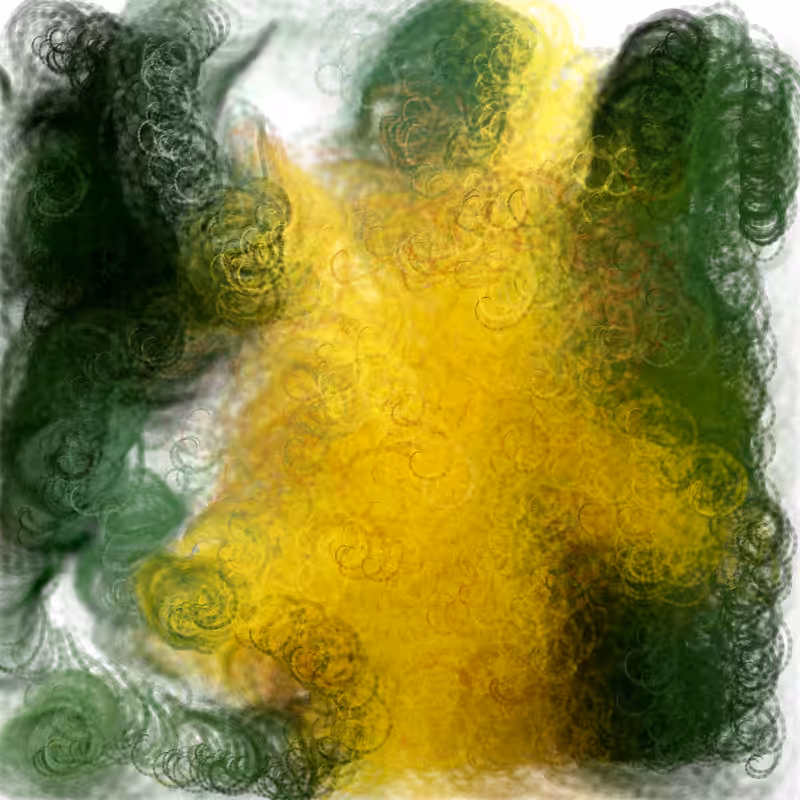 Hypericum