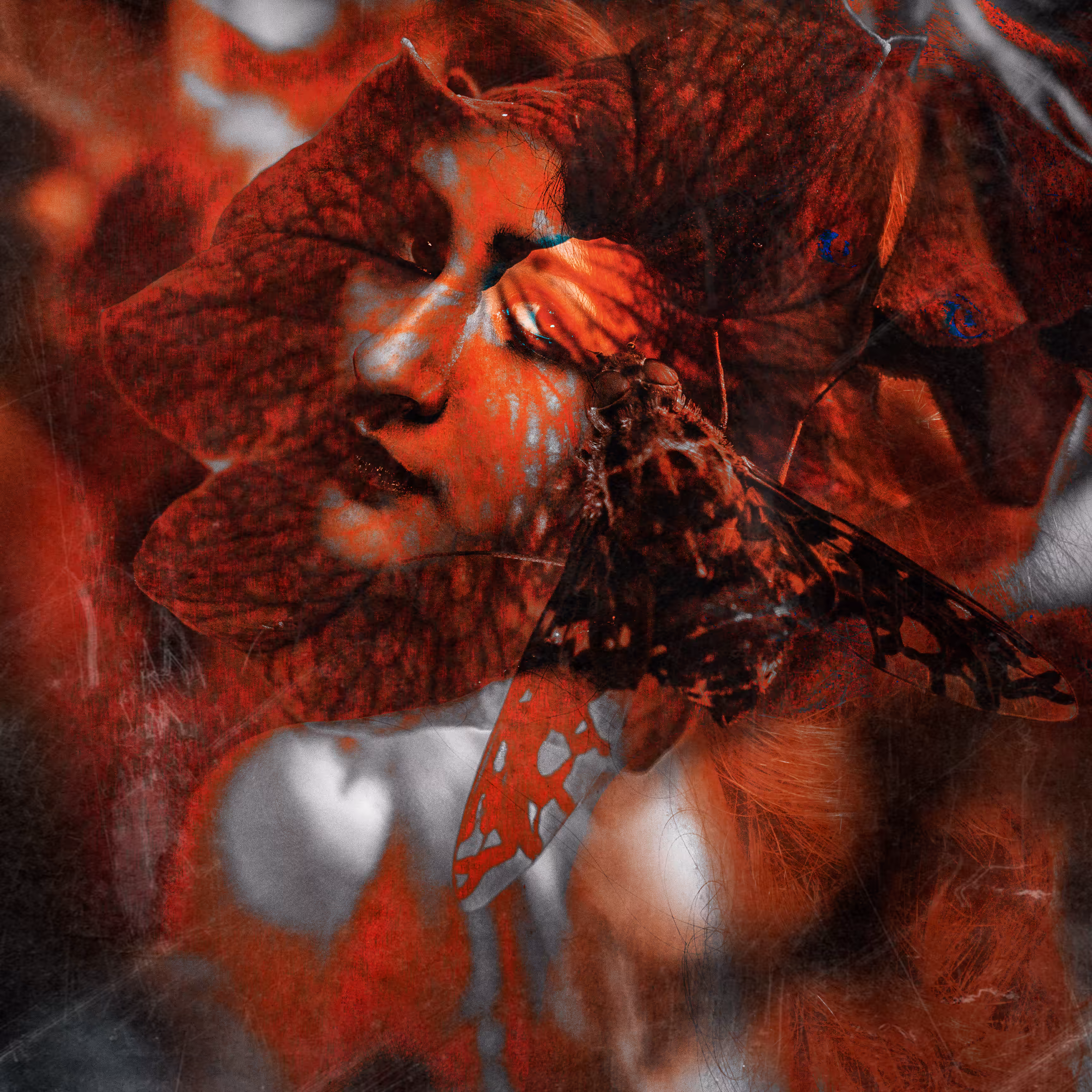 Flowers of Jealousy