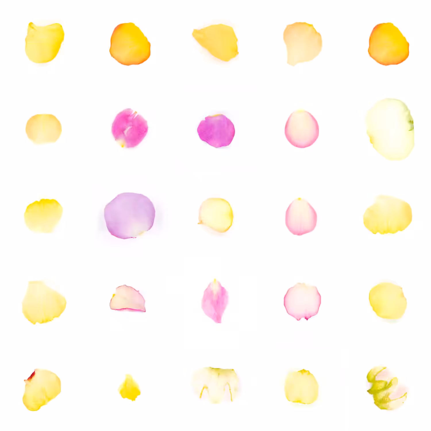 Infinite Petals 5x5#1702