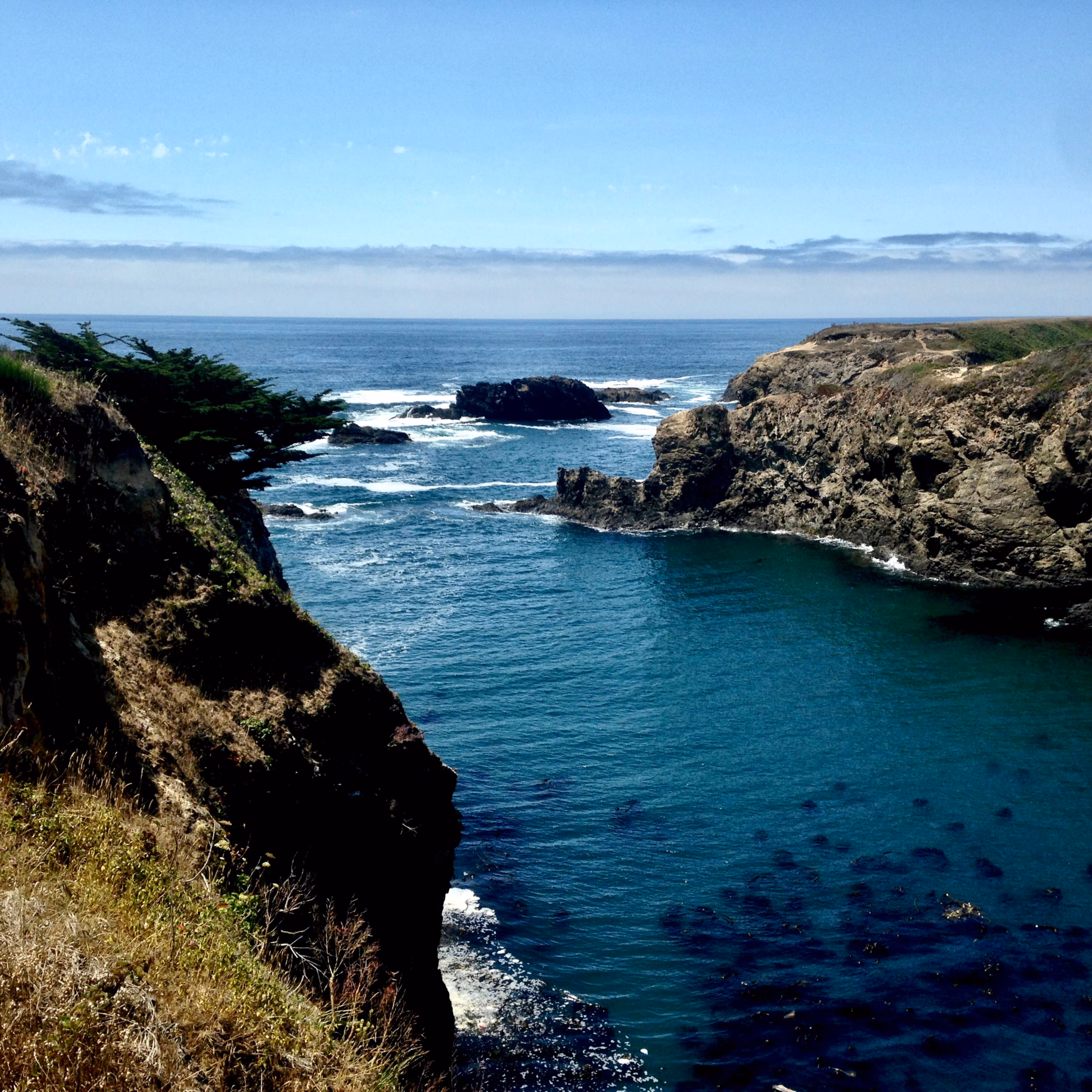 Mendocino Headlands 2015