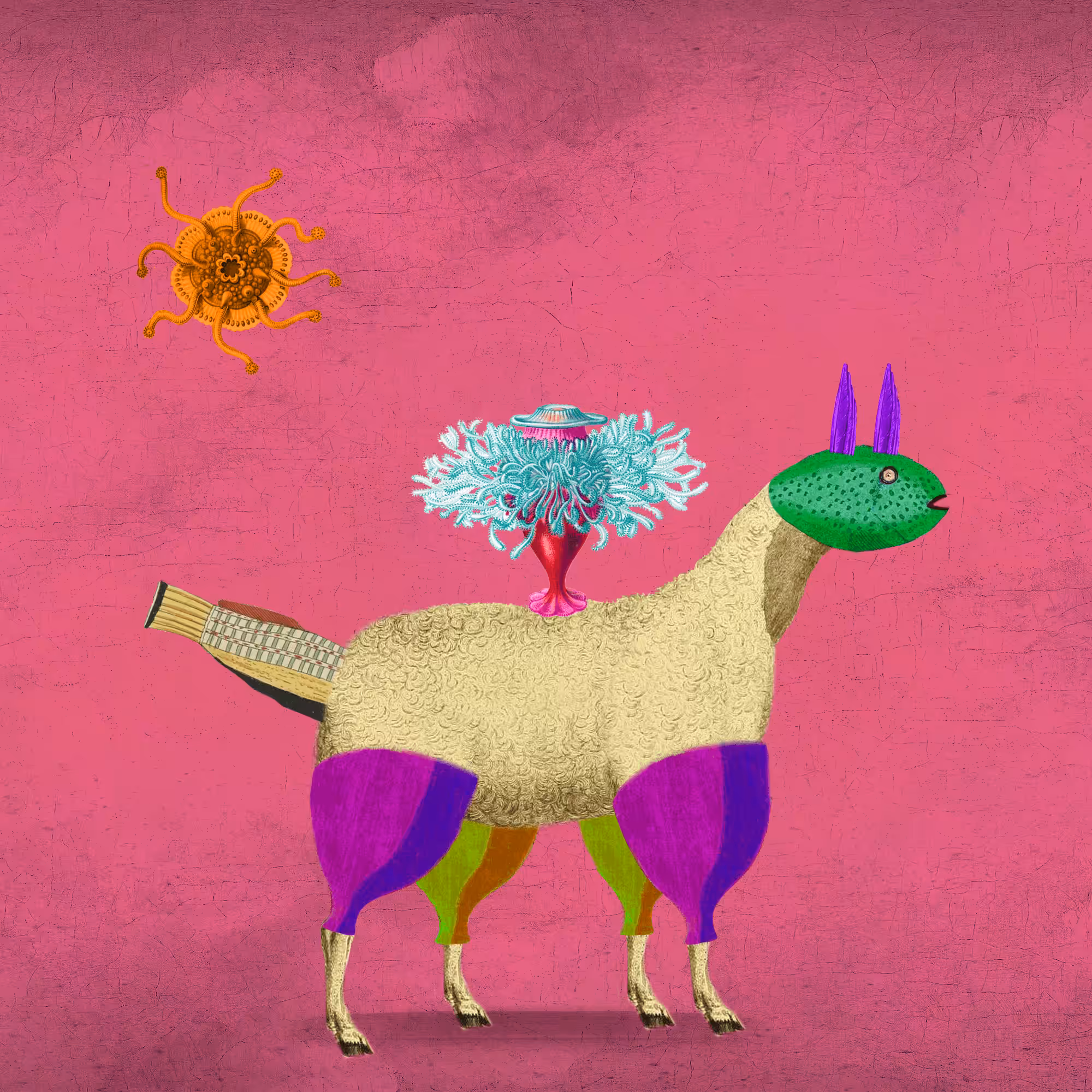 Impossible Creature #233