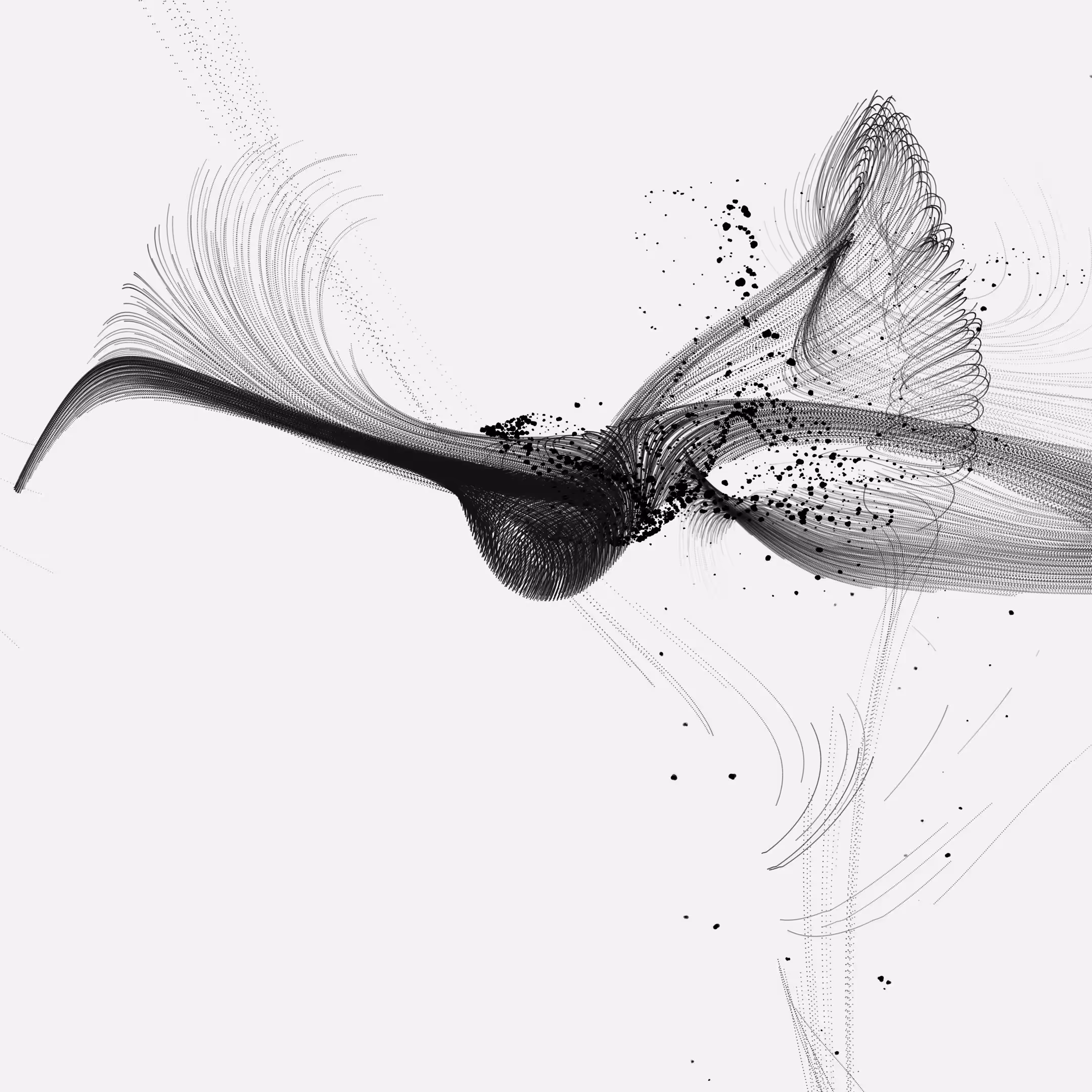 Murmuration 07/10