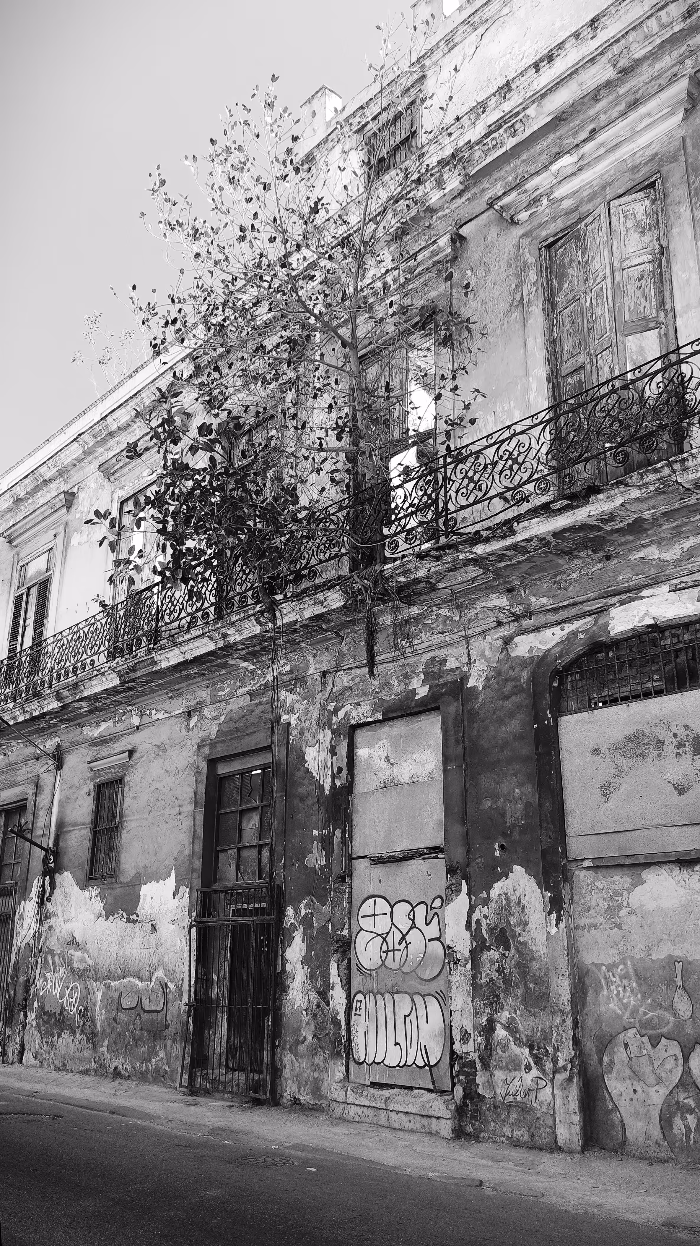 ROOTS