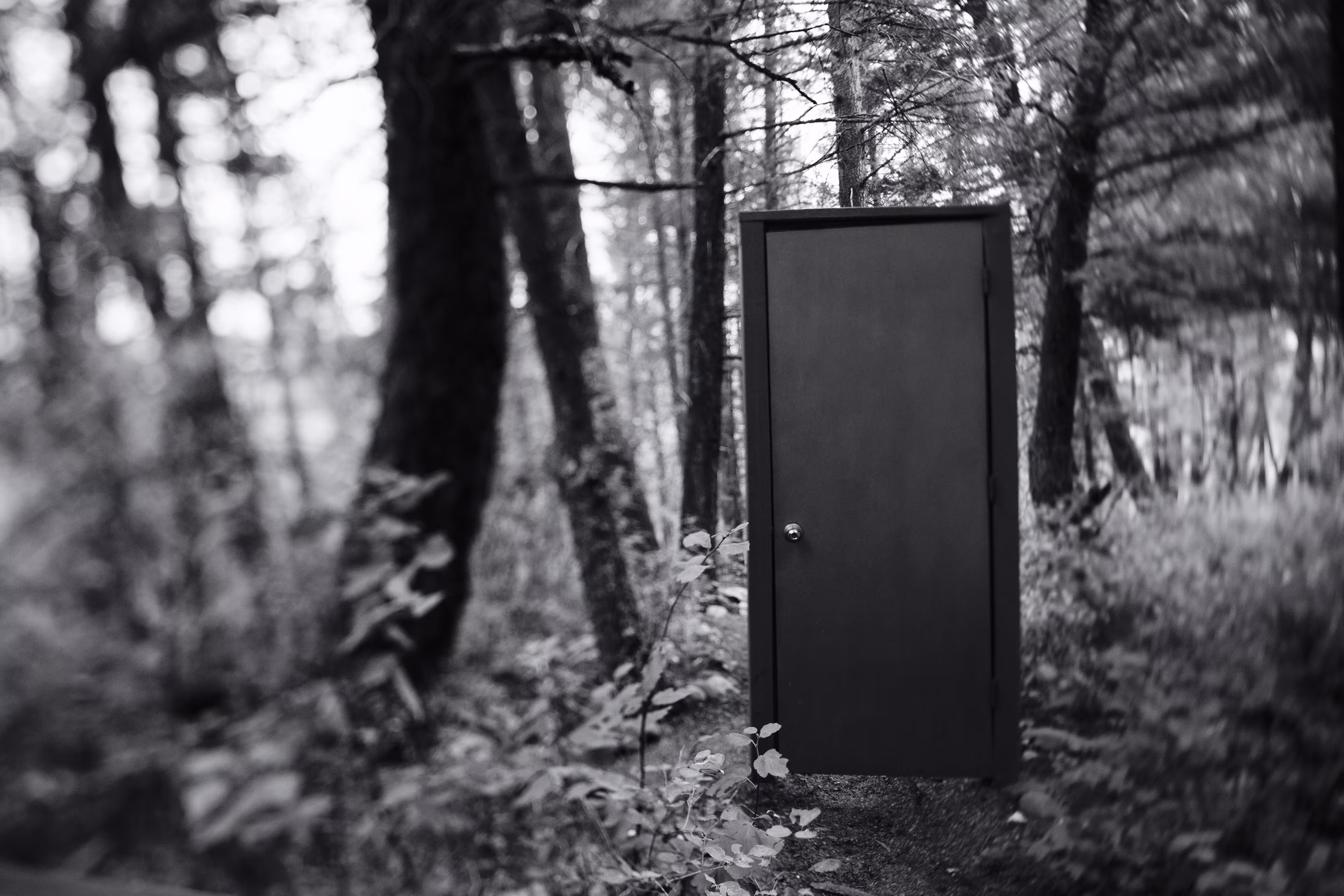 Knock Before Entering
