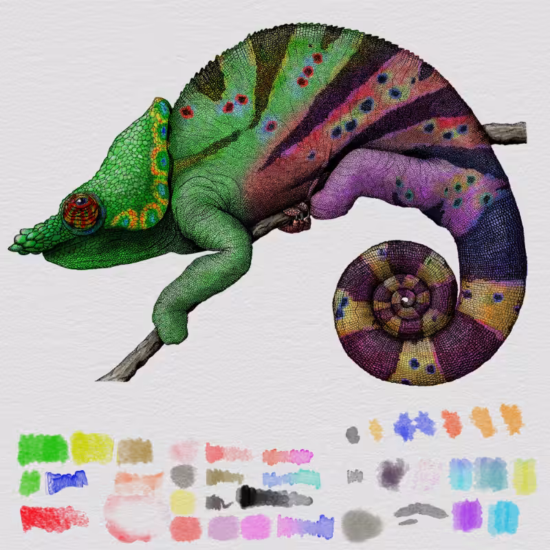 Colorful Cameleon #10