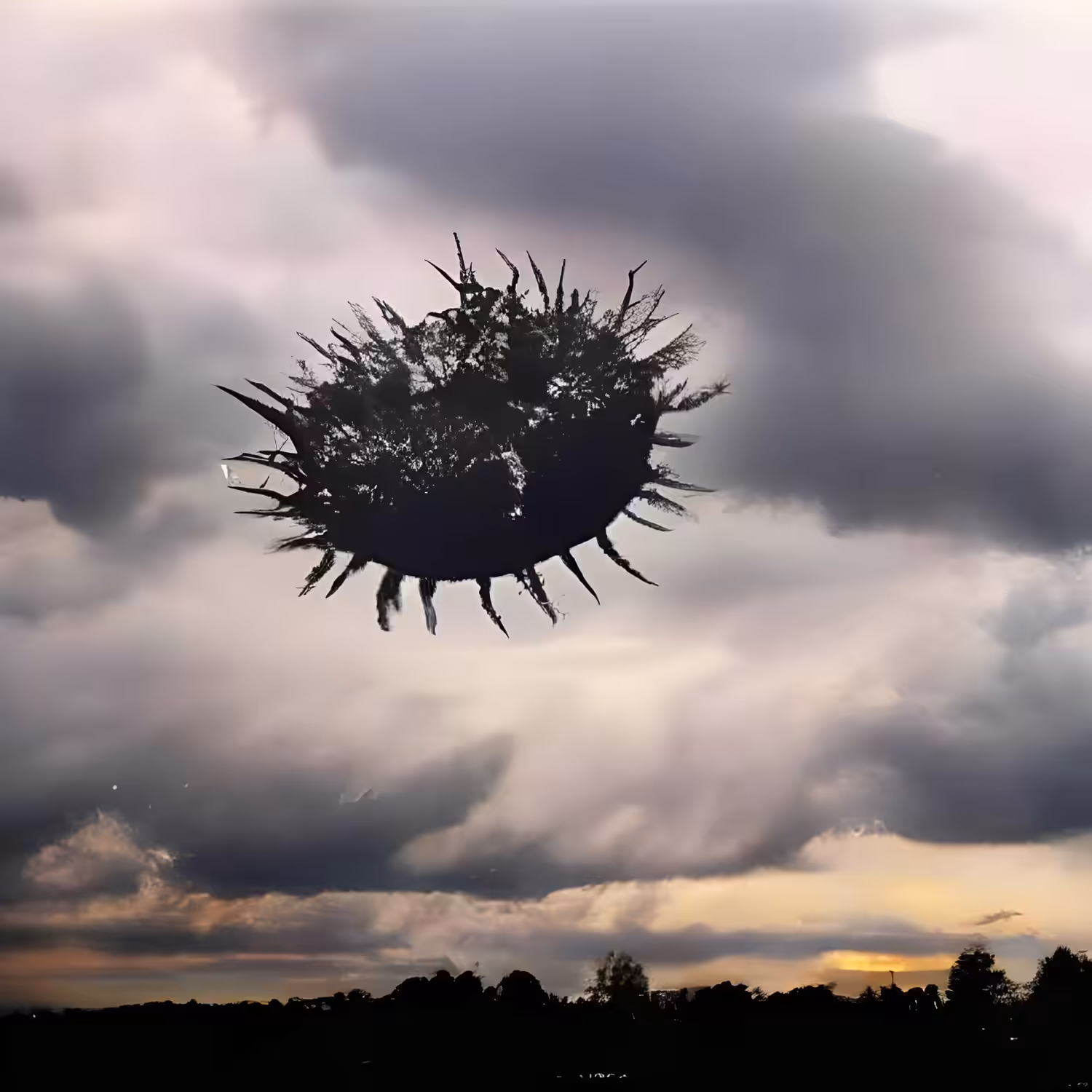 sea ​​urchin in the data clouds 