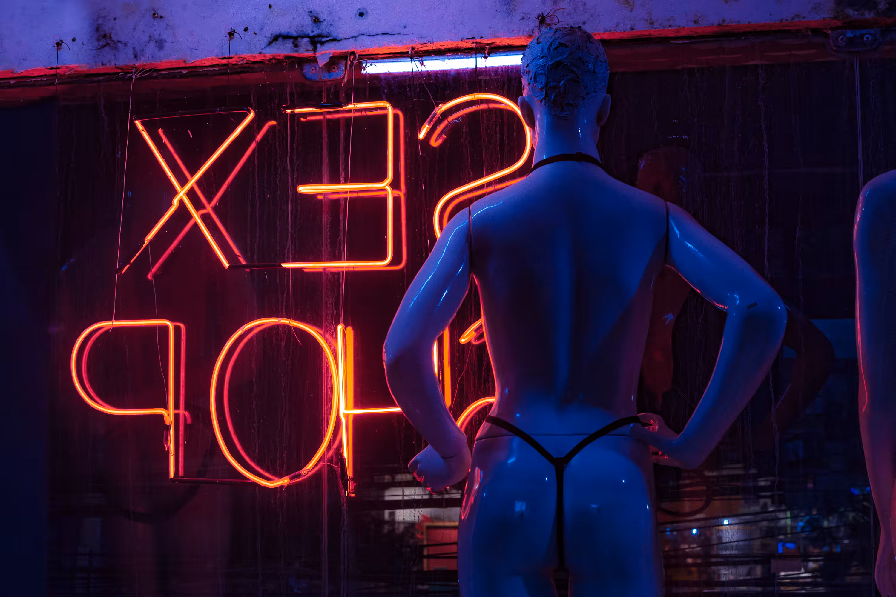 SEXXX DREAMS