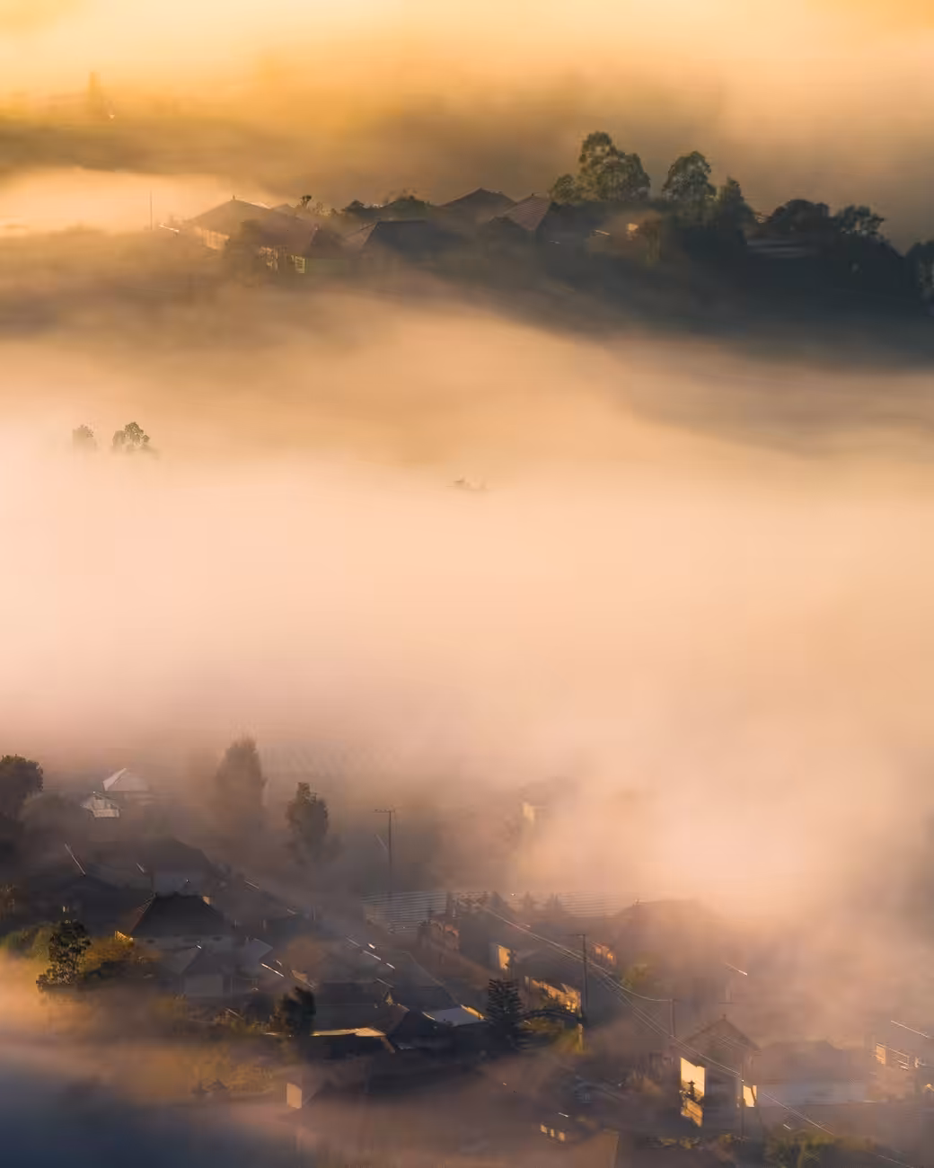 AP CURATED: Embracing The Mist