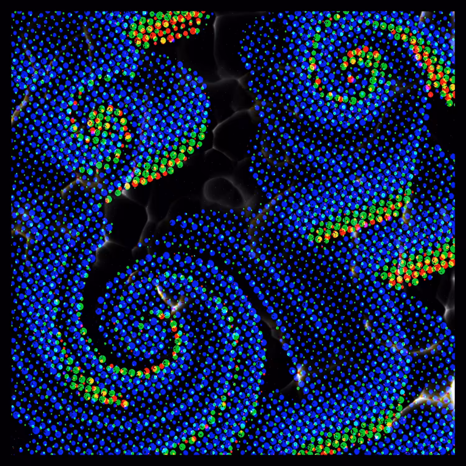 Spirals