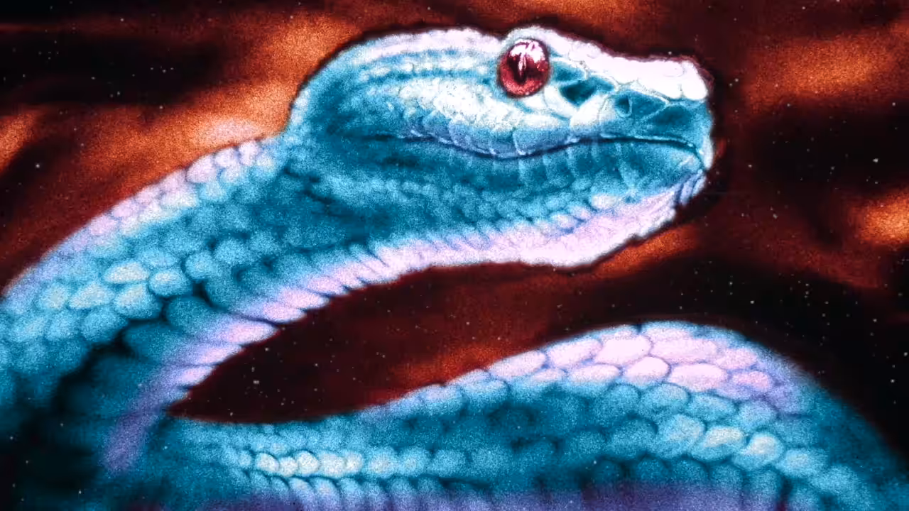 Blue Snake