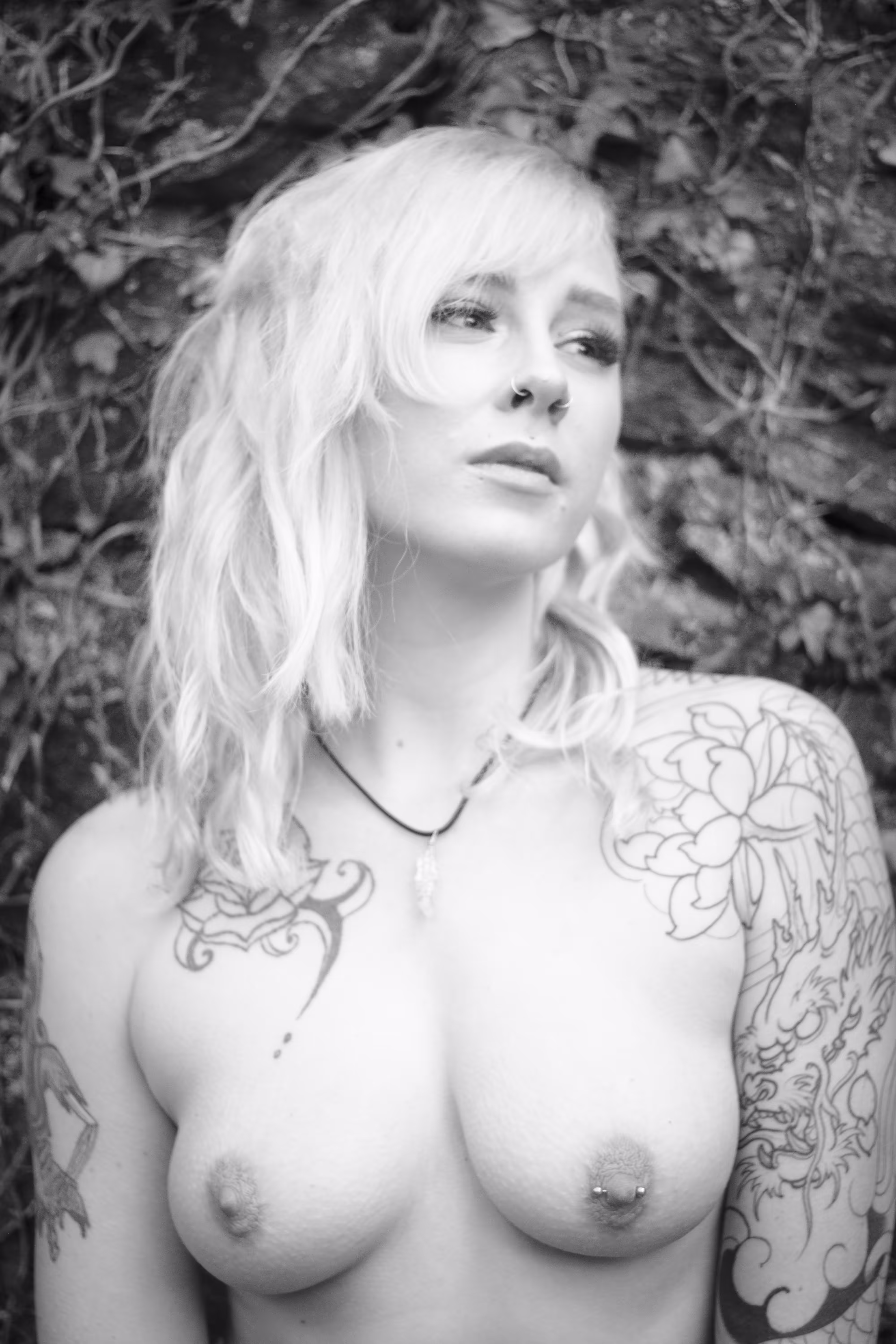 Fawn IV