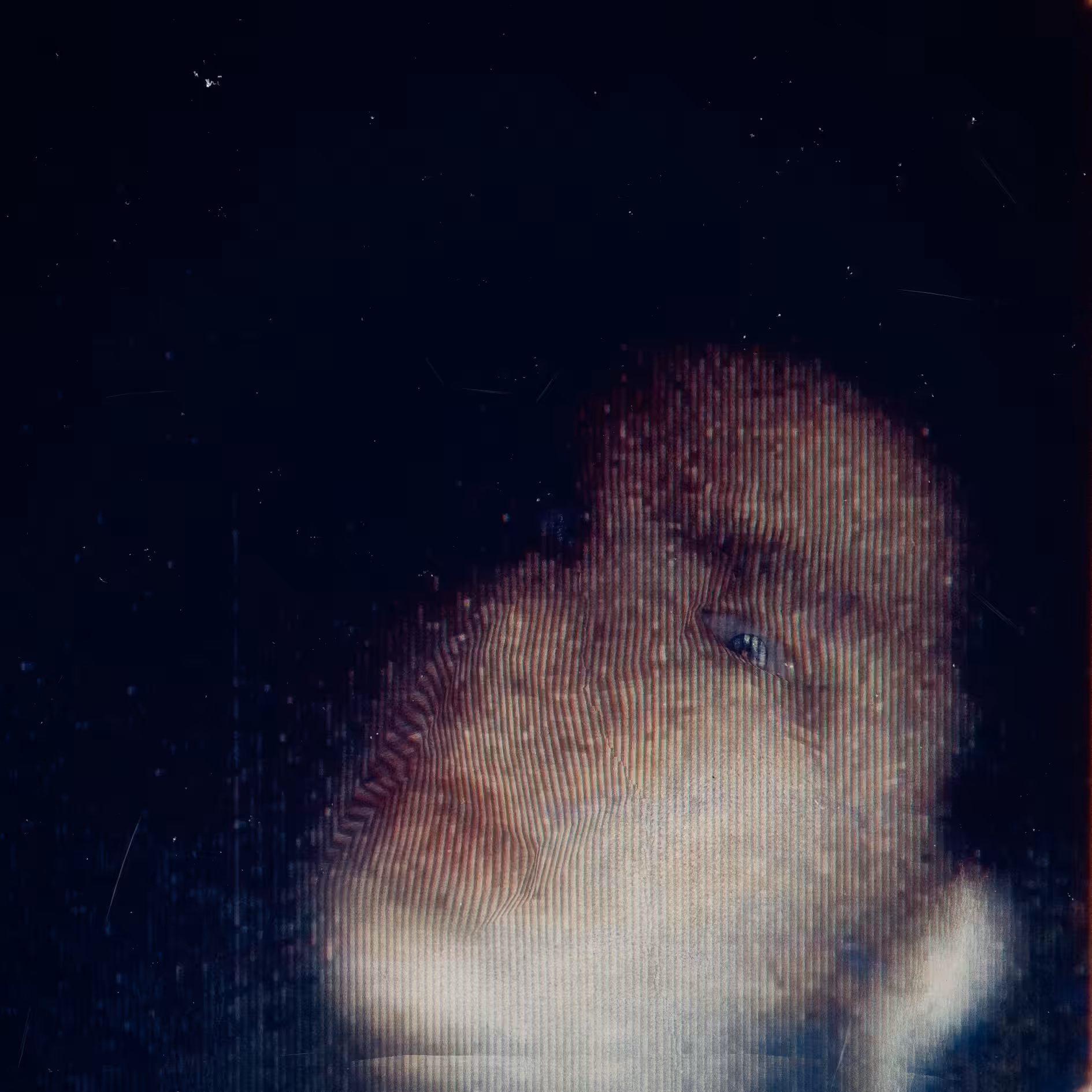 Webcam portrait #2
