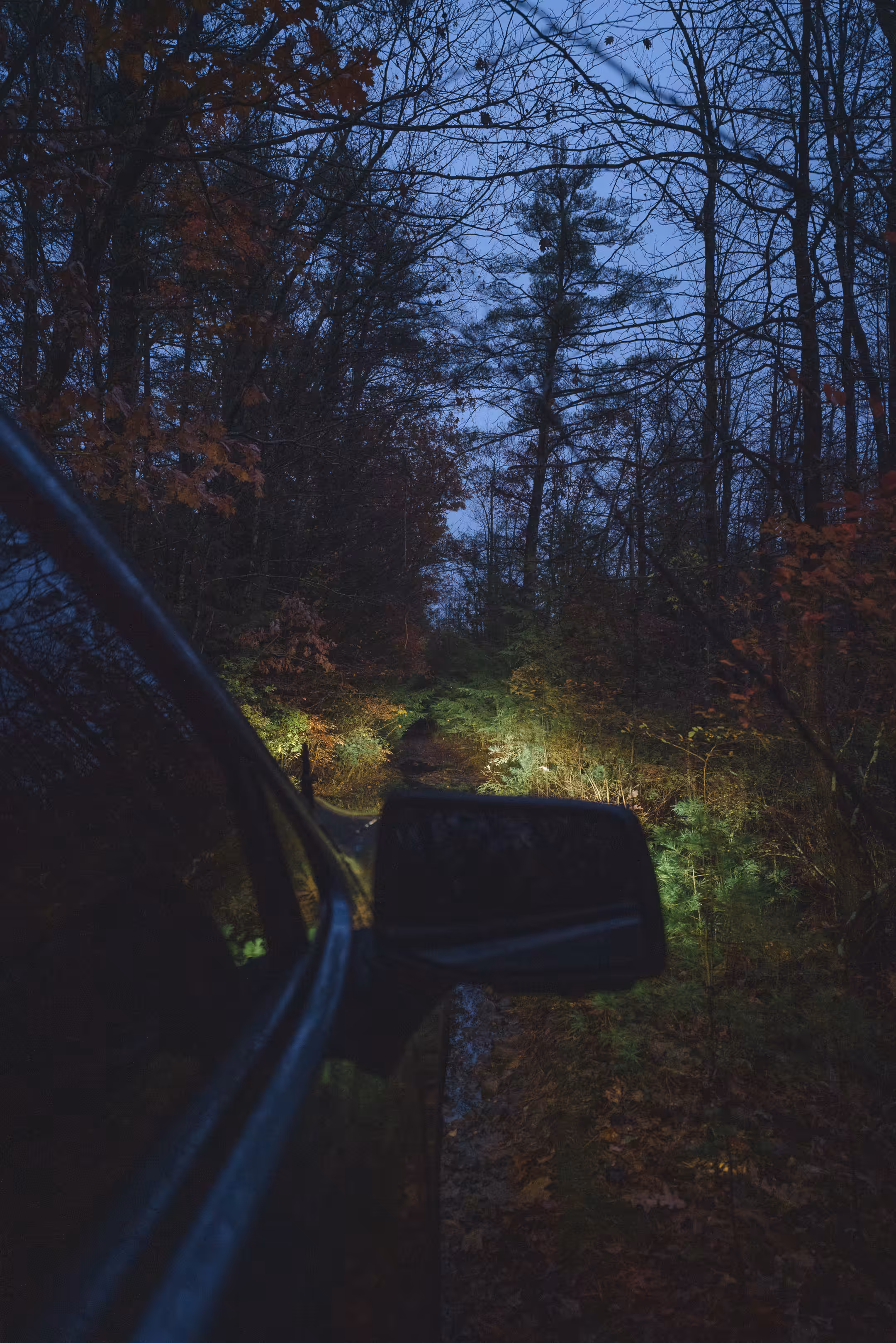 dusk ii