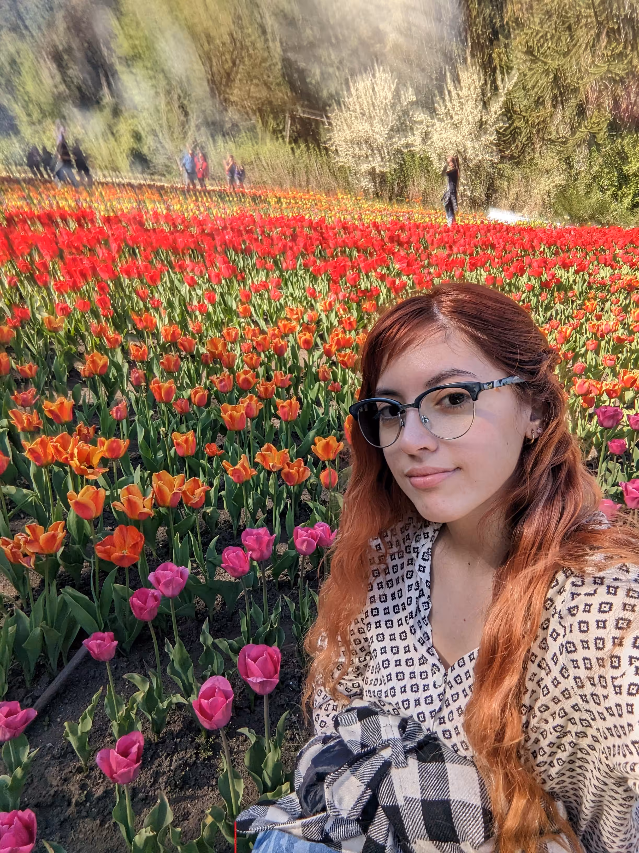 Me, Myself and I: Tulips Dream
